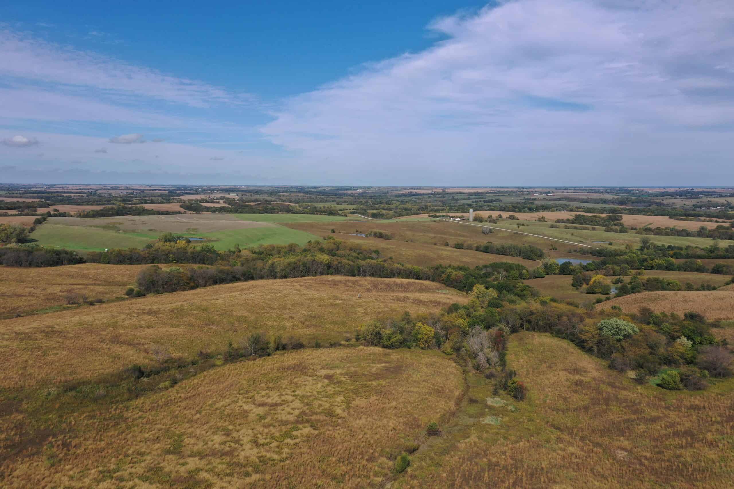160 Acres m/l Iowa CRP/Hunting Farm