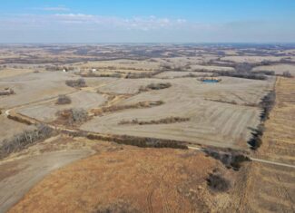 40 Acres in Northwest Harrison County, MO
