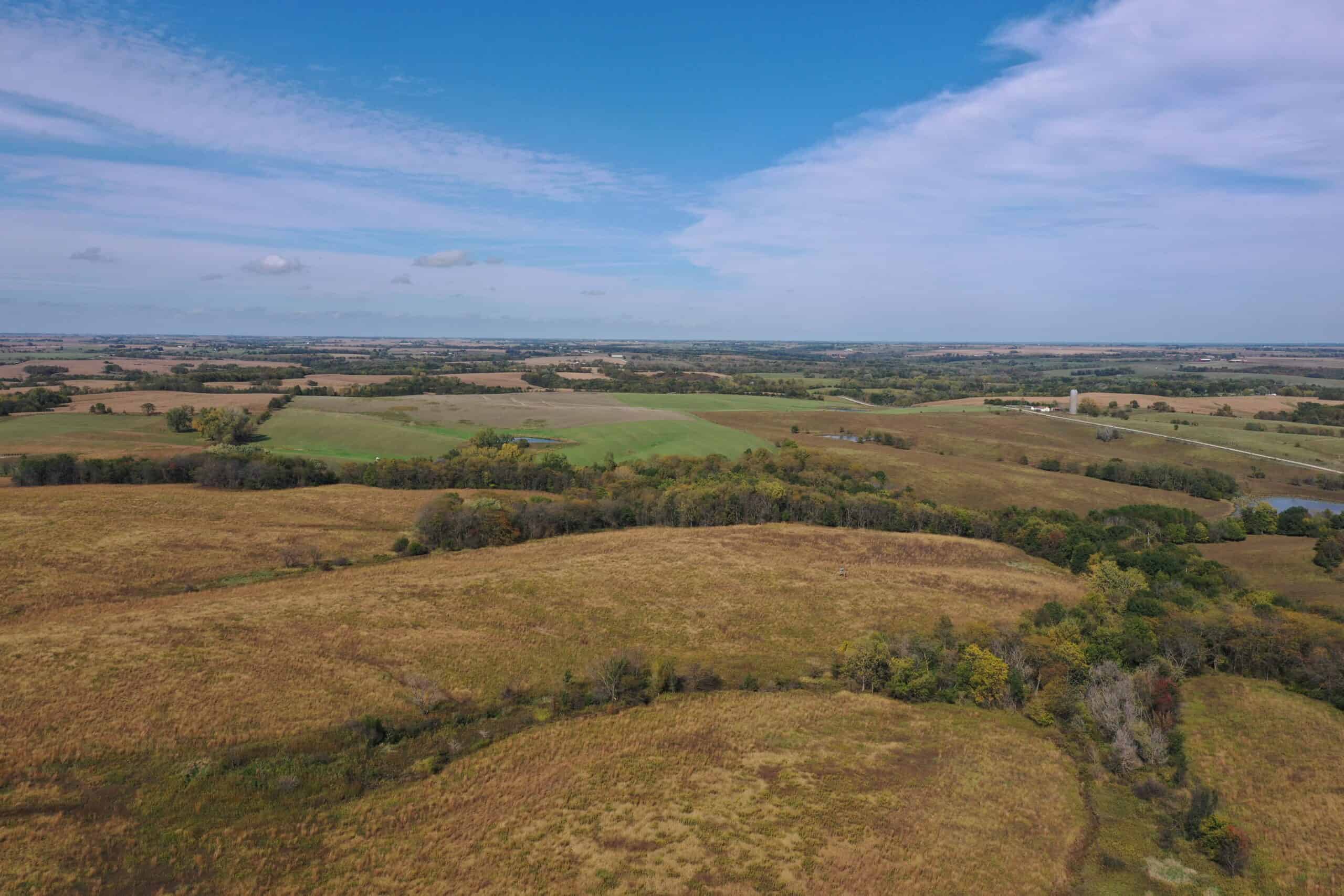 160 Acres m/l Iowa CRP/Hunting Farm