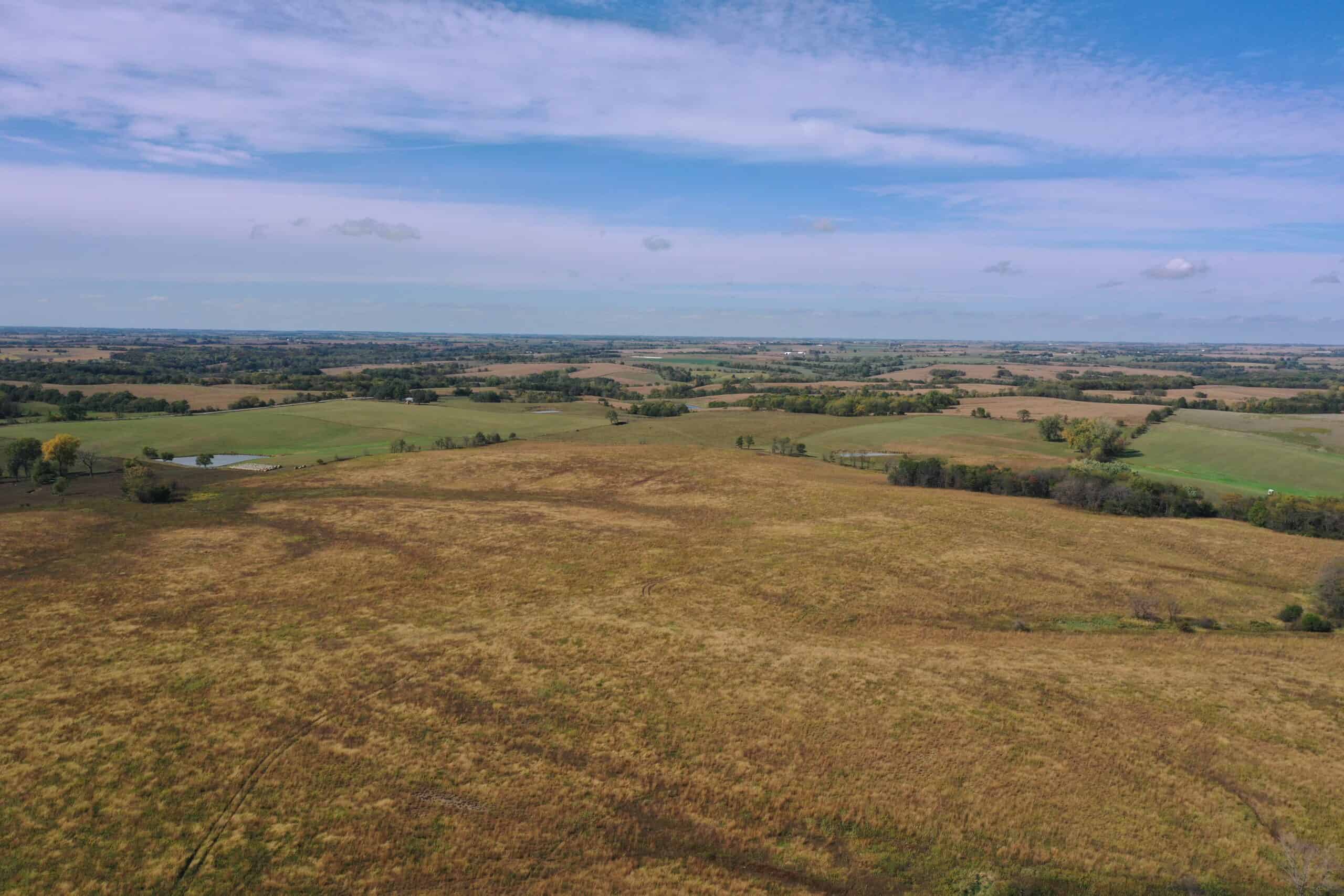 160 Acres m/l Iowa CRP/Hunting Farm