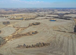 40 Acres in Northwest Harrison County, MO