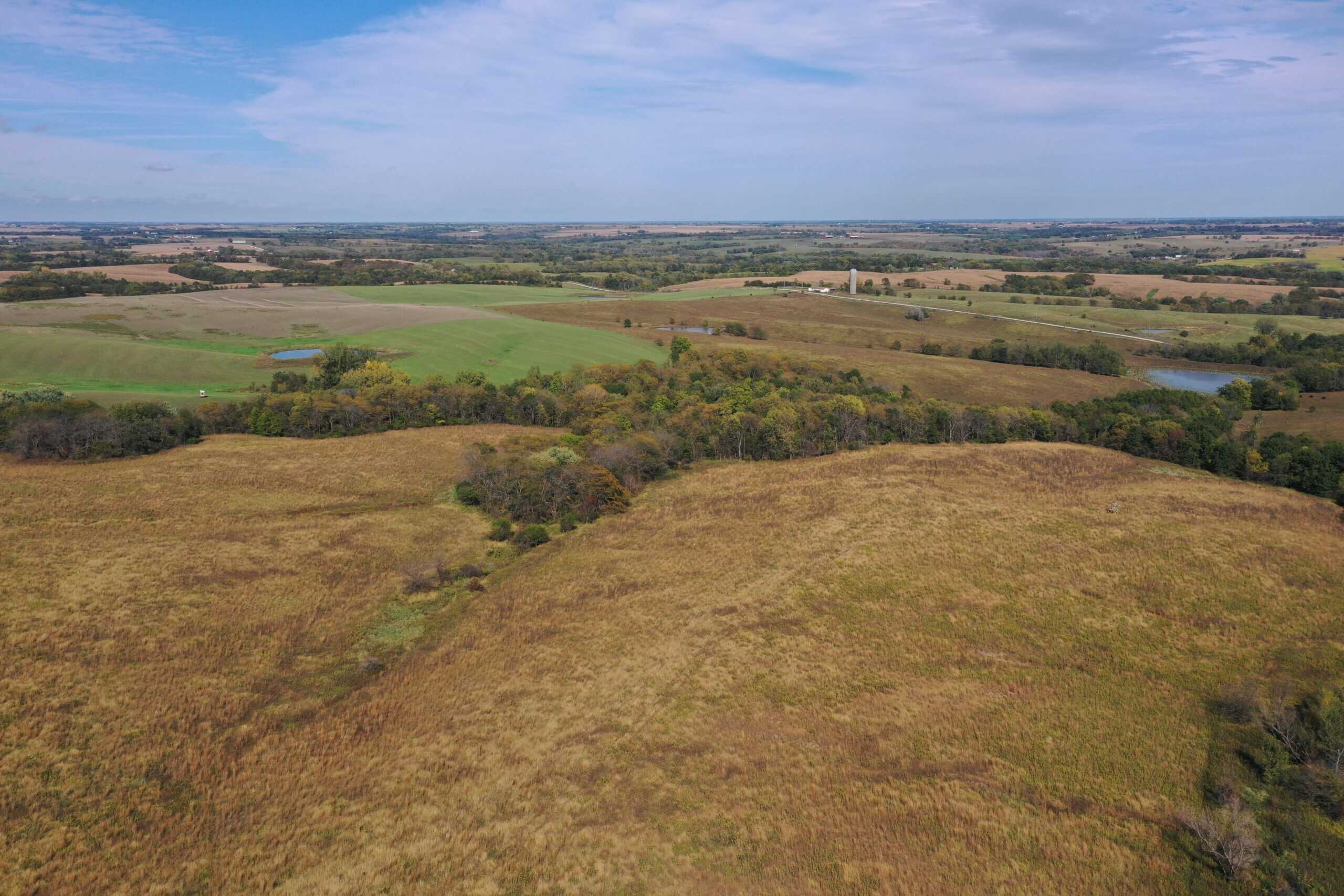 160 Acres m/l Iowa CRP/Hunting Farm