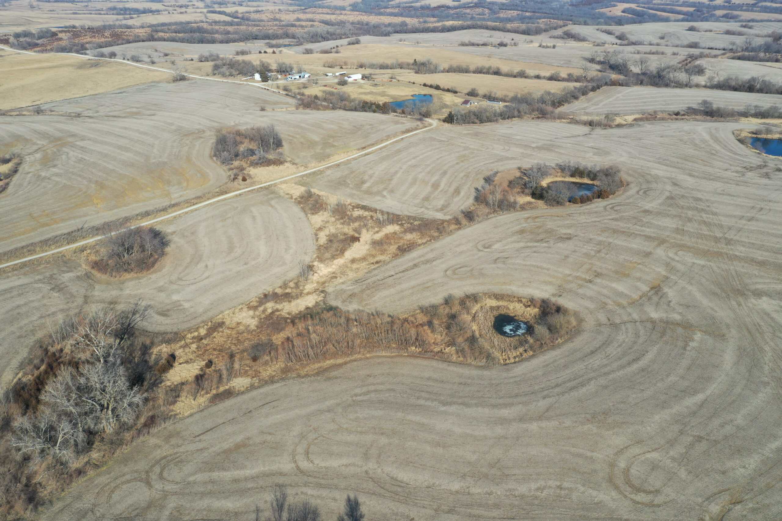40 Acres in Northwest Harrison County, MO