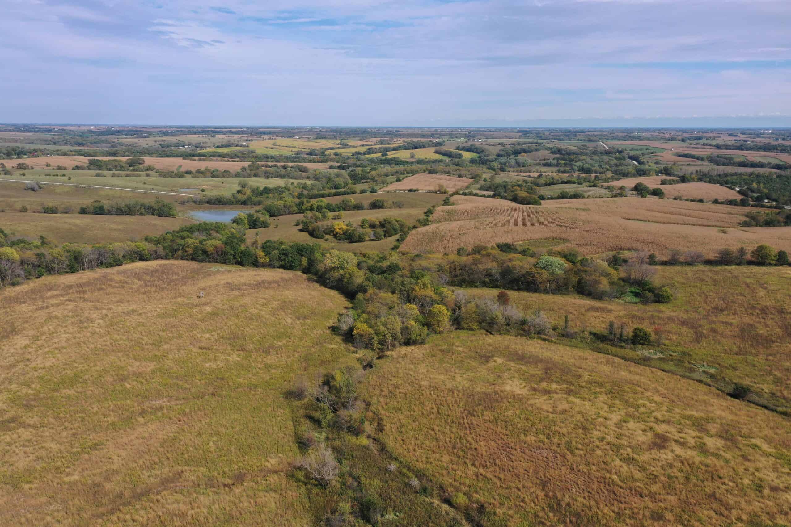 160 Acres m/l Iowa CRP/Hunting Farm