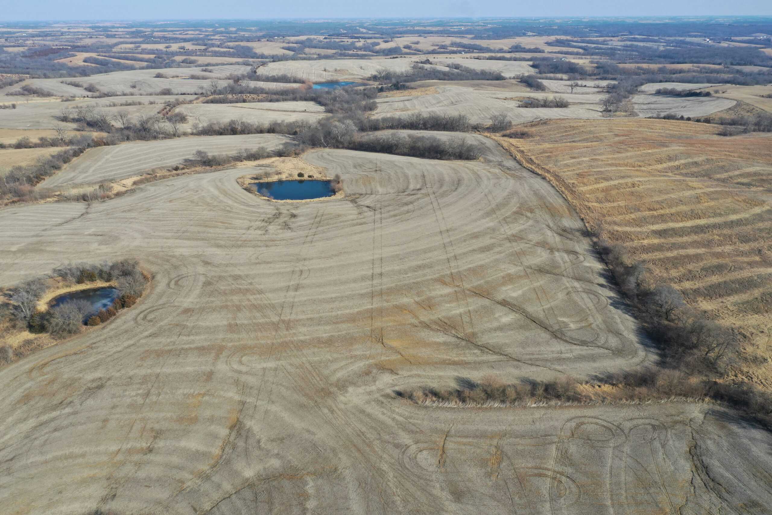 40 Acres in Northwest Harrison County, MO