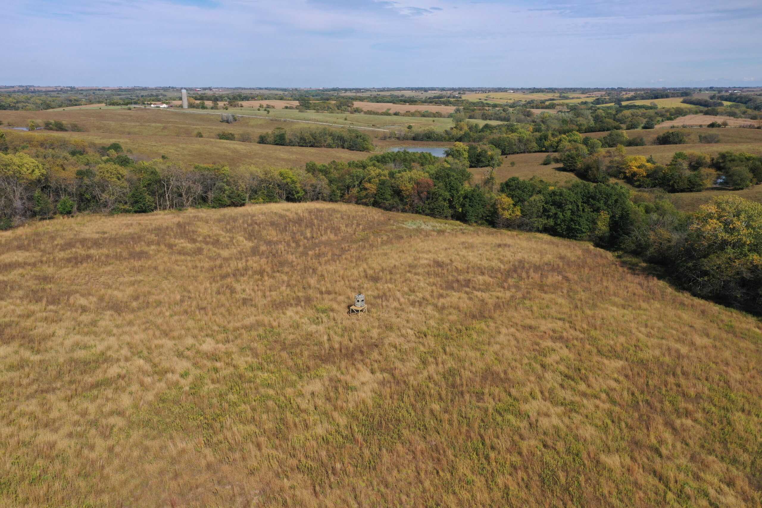 160 Acres m/l Iowa CRP/Hunting Farm