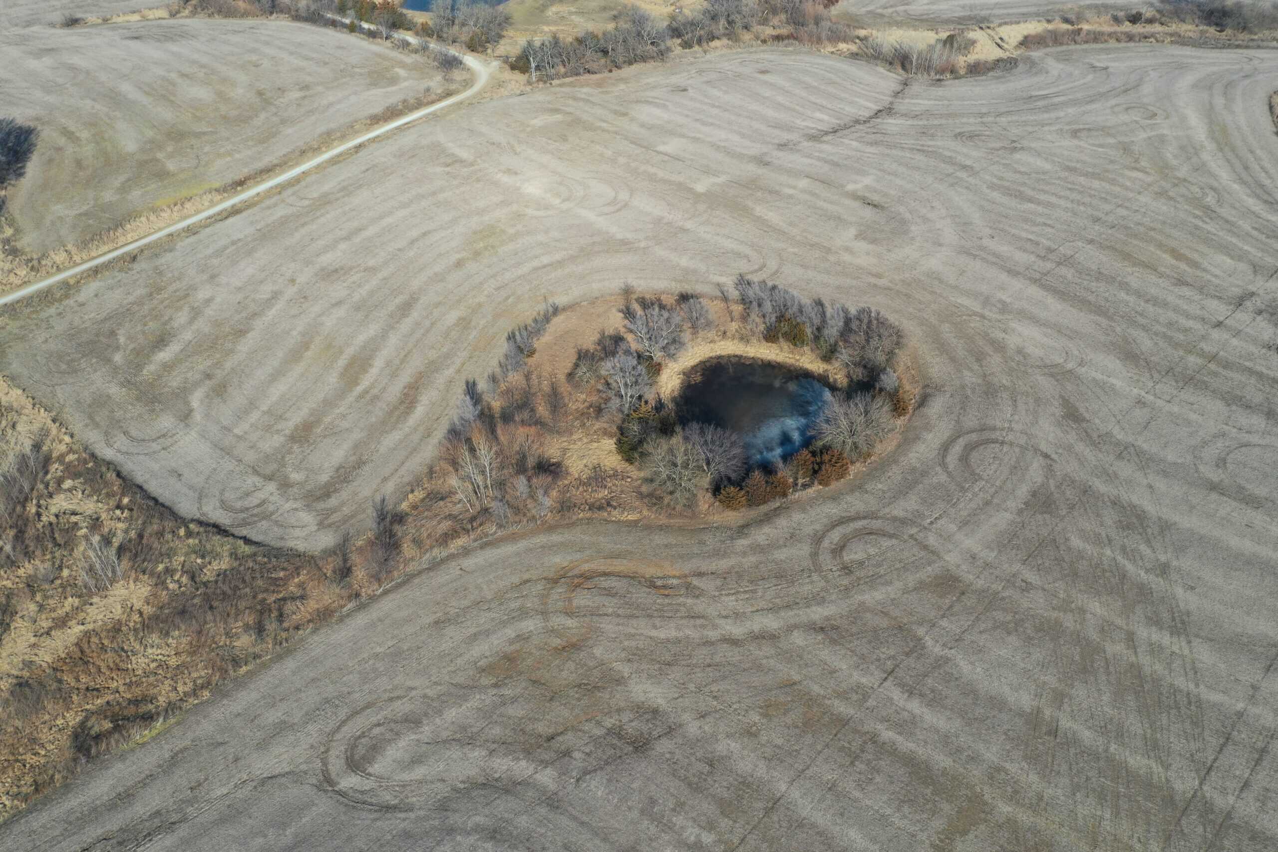 40 Acres in Northwest Harrison County, MO