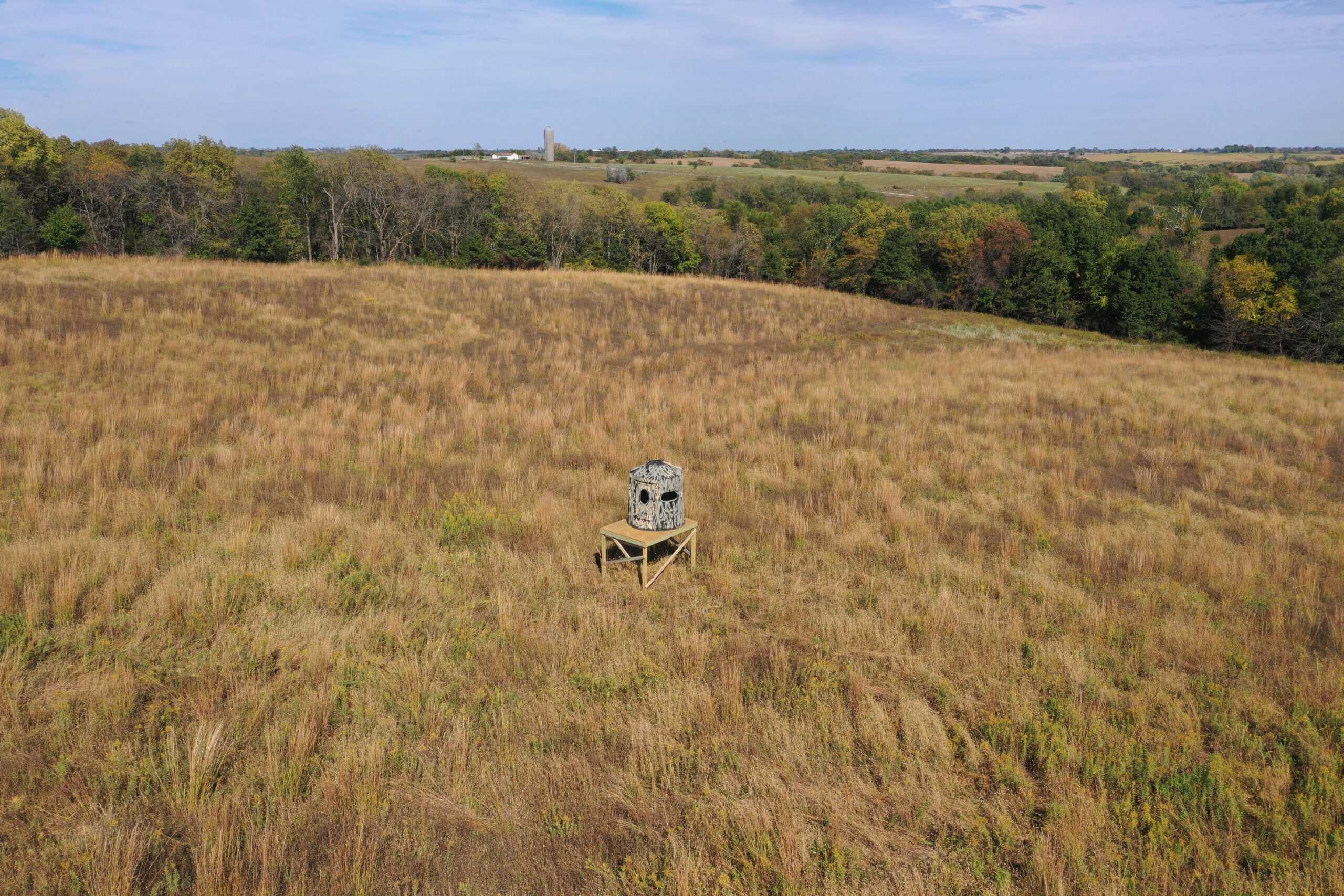 160 Acres m/l Iowa CRP/Hunting Farm