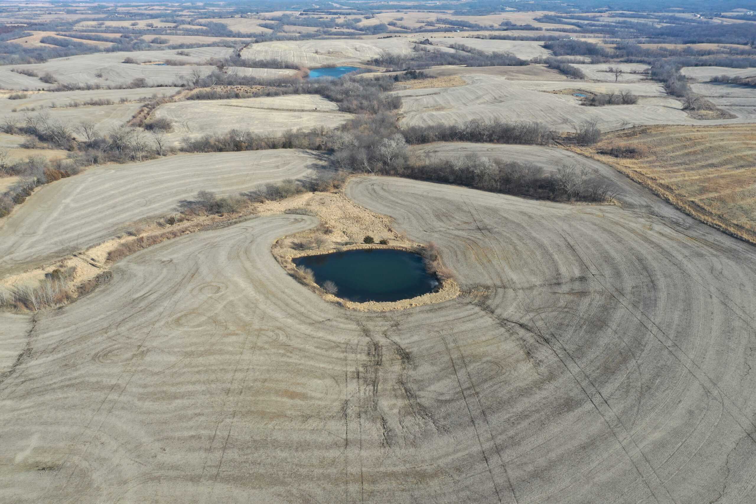 40 Acres in Northwest Harrison County, MO