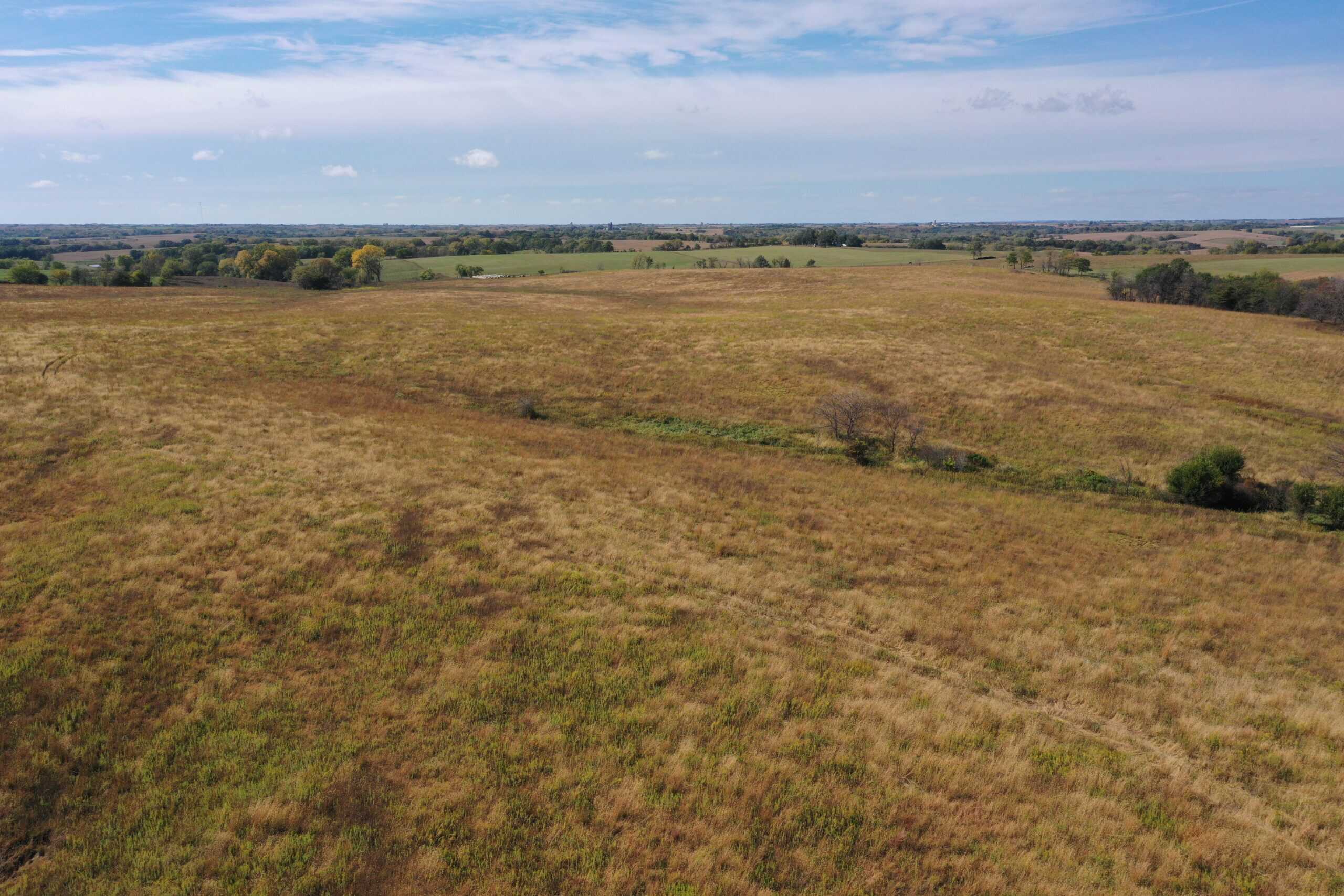 160 Acres m/l Iowa CRP/Hunting Farm
