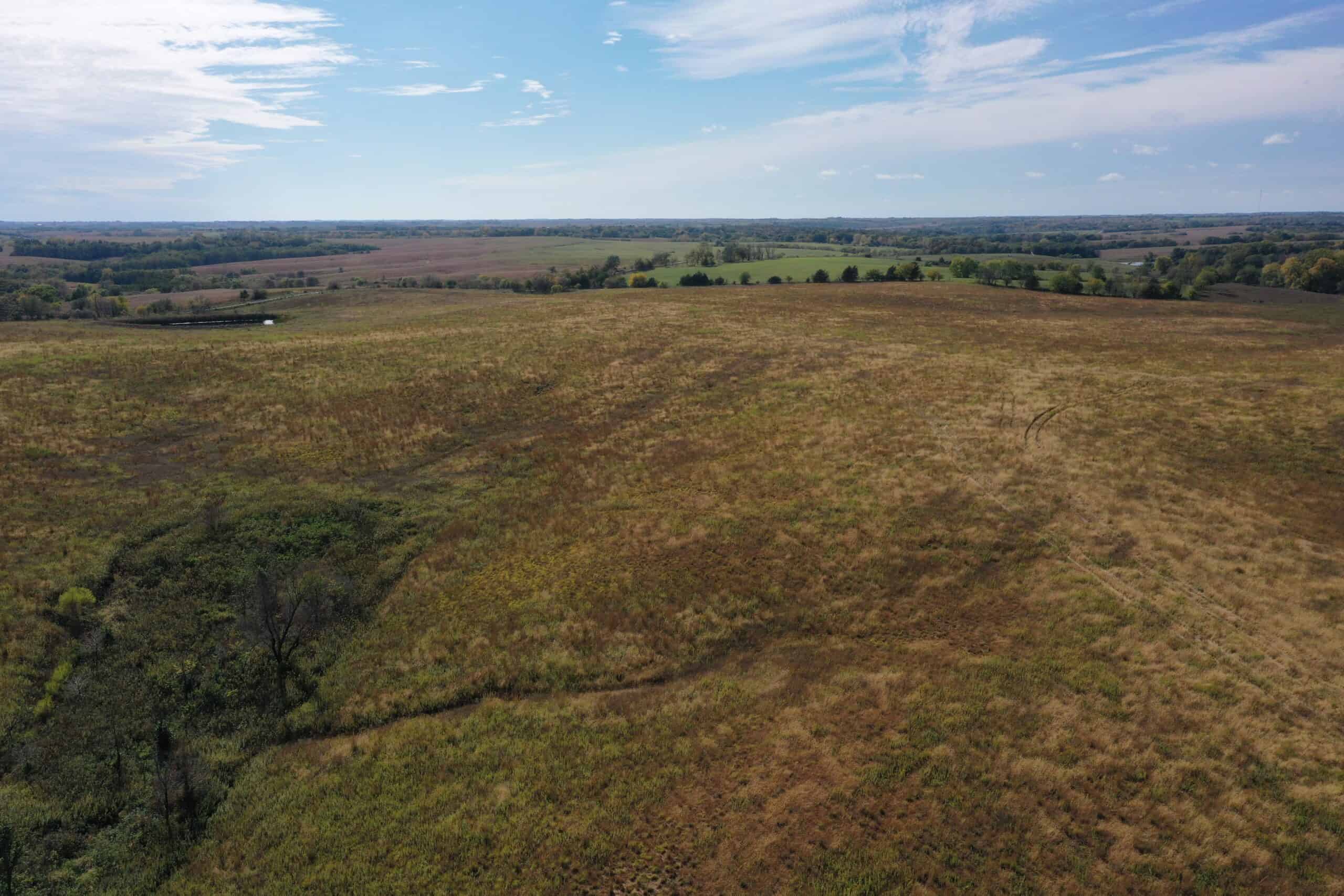 160 Acres m/l Iowa CRP/Hunting Farm