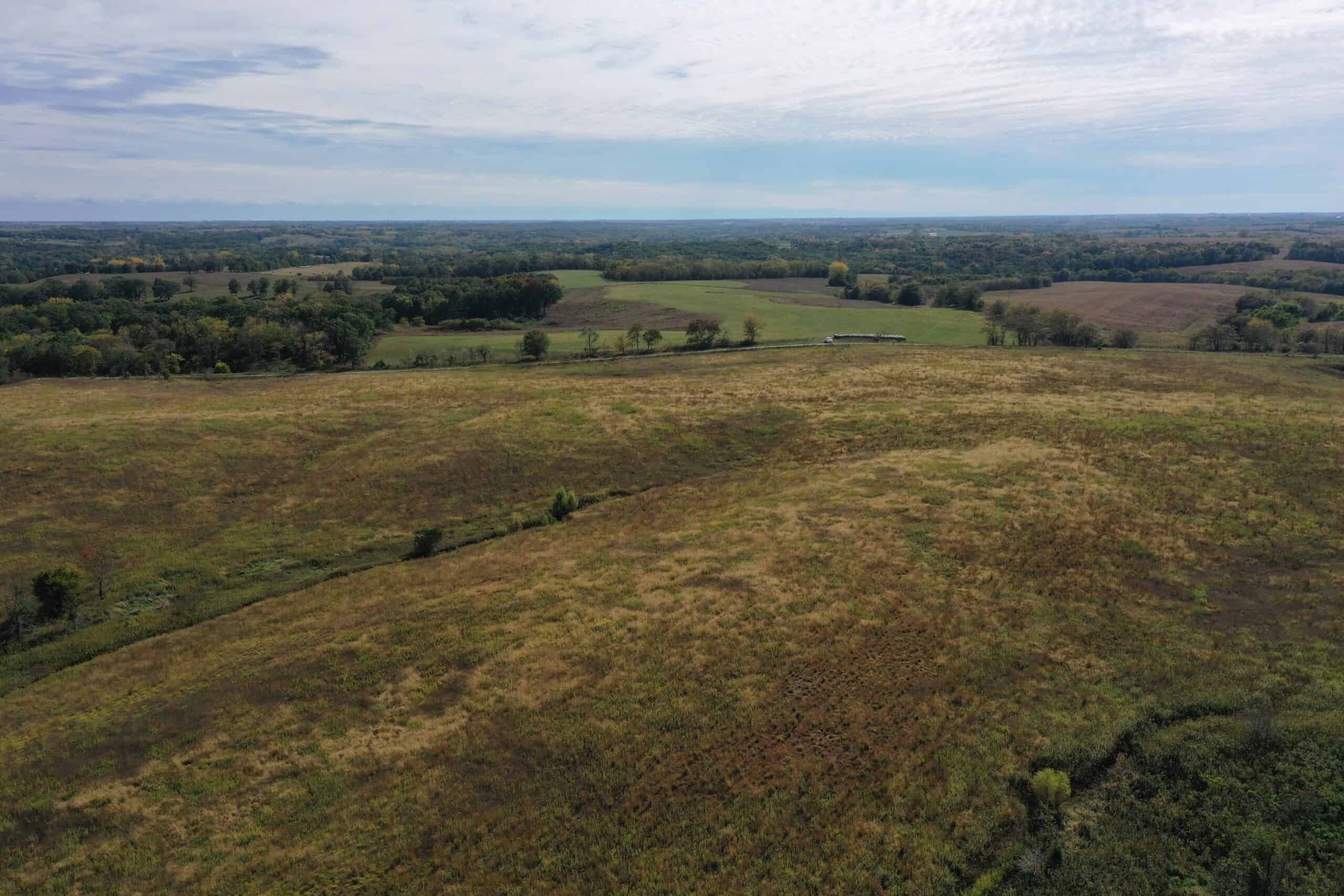 160 Acres m/l Iowa CRP/Hunting Farm