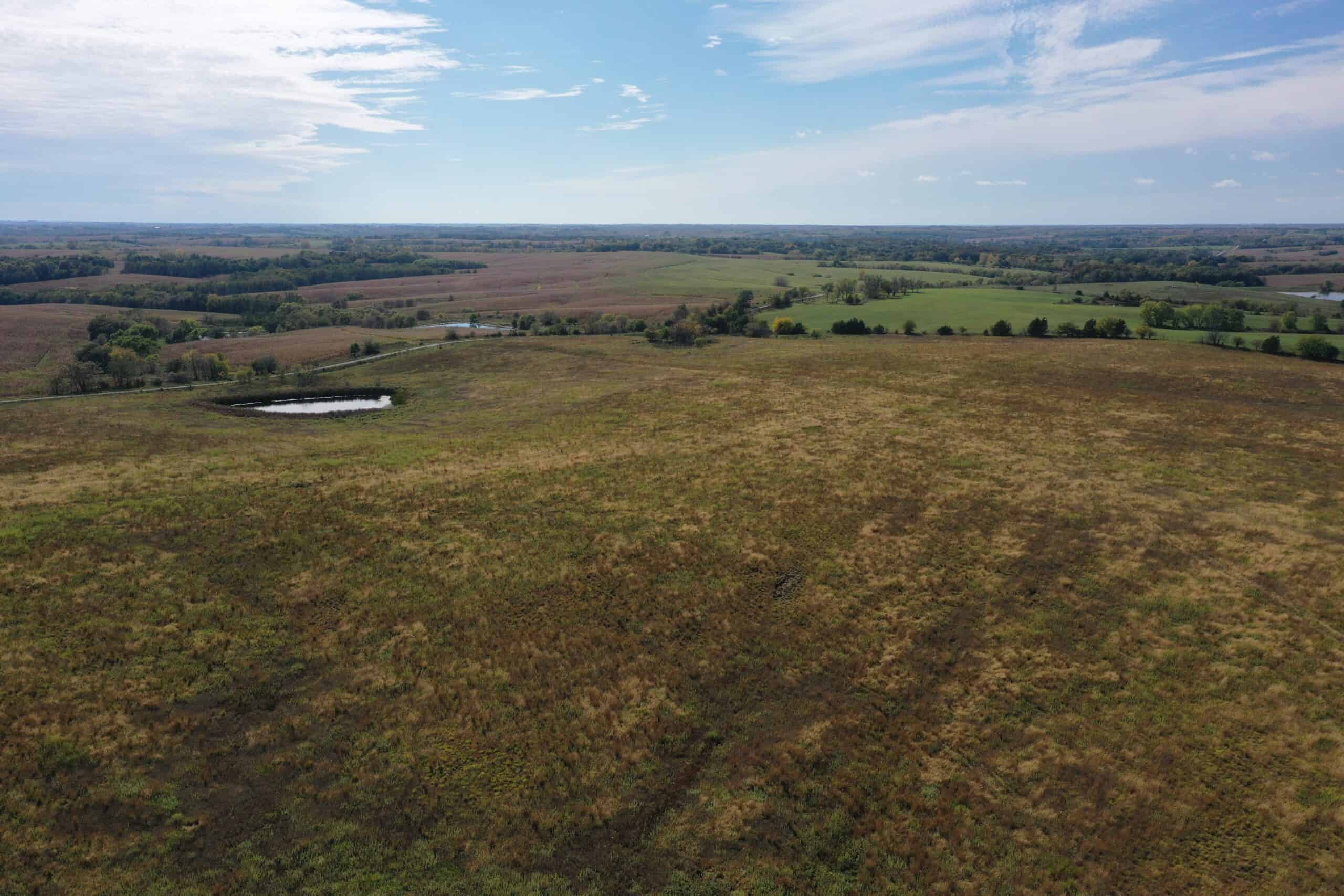 160 Acres m/l Iowa CRP/Hunting Farm