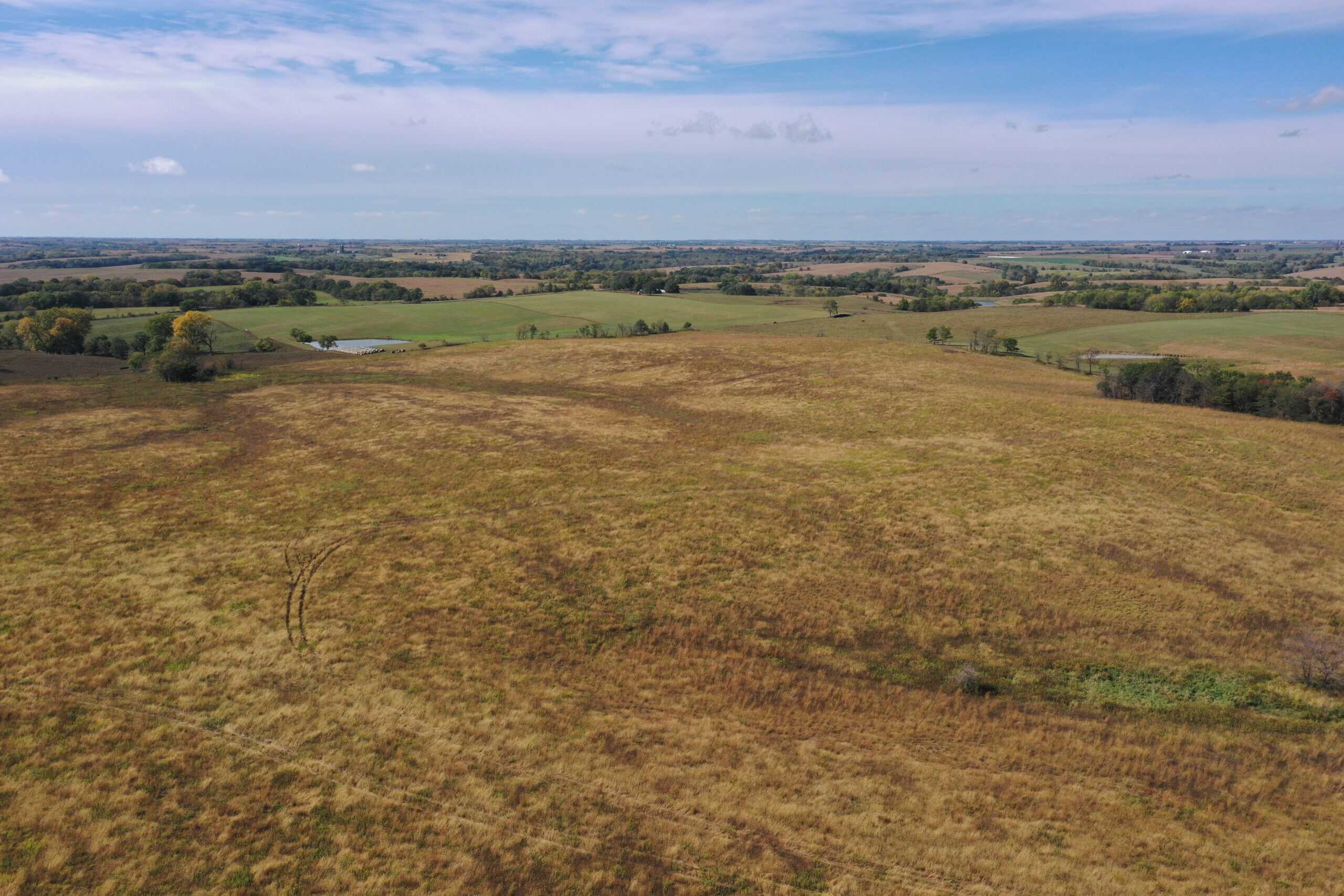 160 Acres m/l Iowa CRP/Hunting Farm