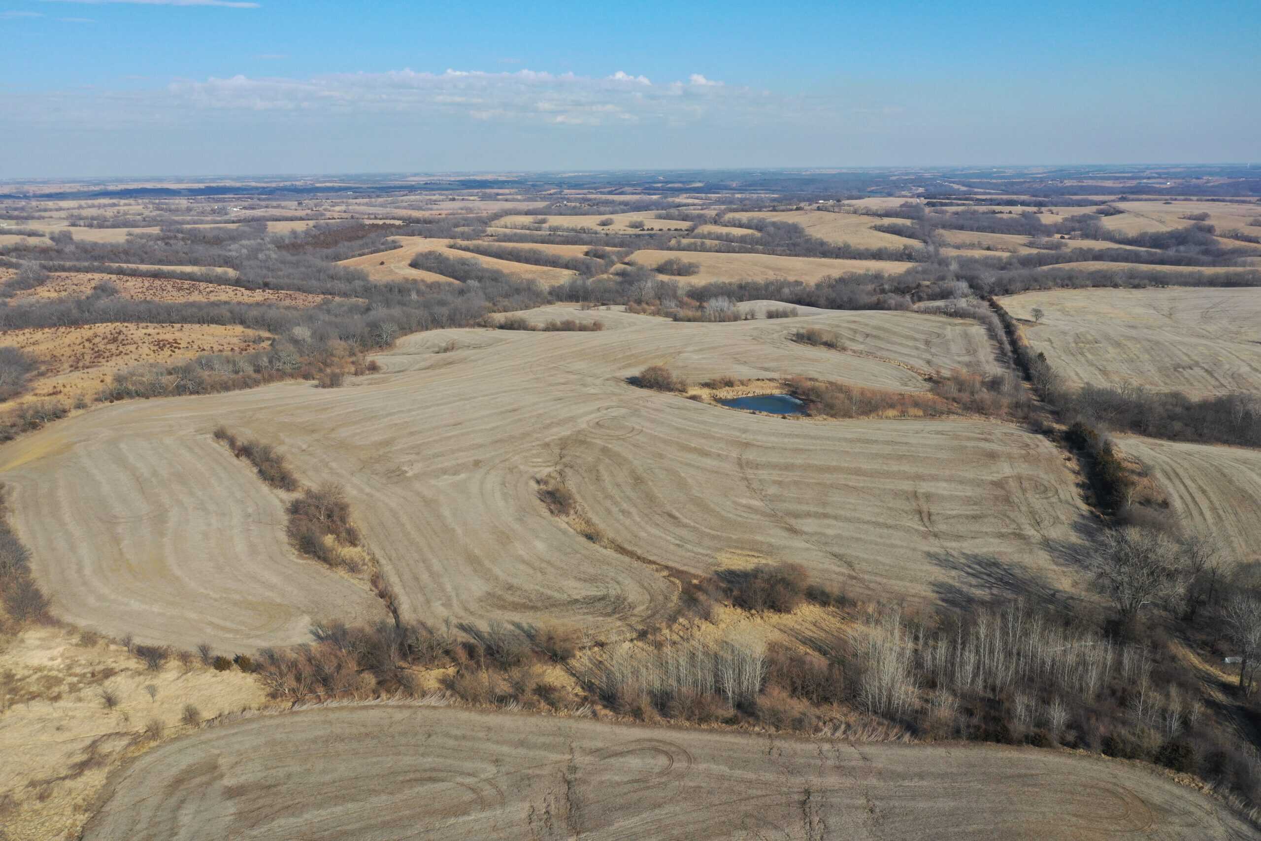 Large Acreage in Northwest Harrison County