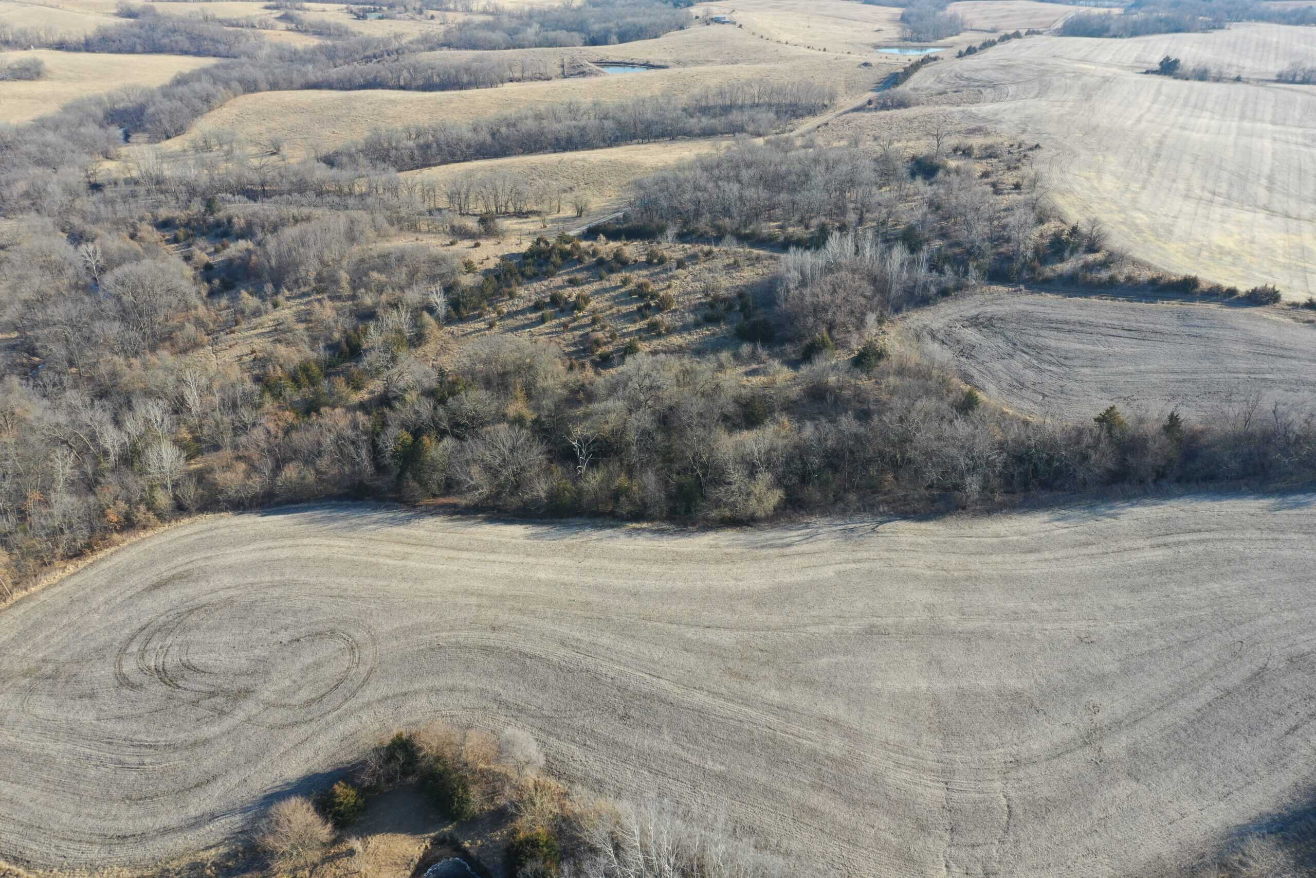 Large Acreage in Northwest Harrison County