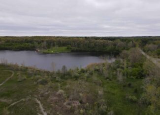 Land for sale in Clinton County Michigan