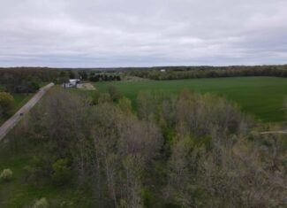 Land for sale in Clinton County Michigan