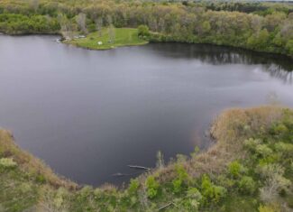 Land for sale in Clinton County Michigan