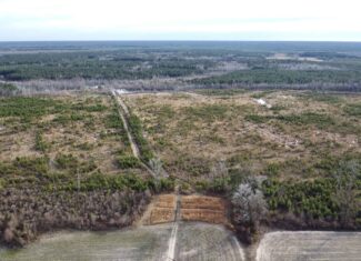 Turnkey Hunting + Investment Property w/ Beaver Swamp