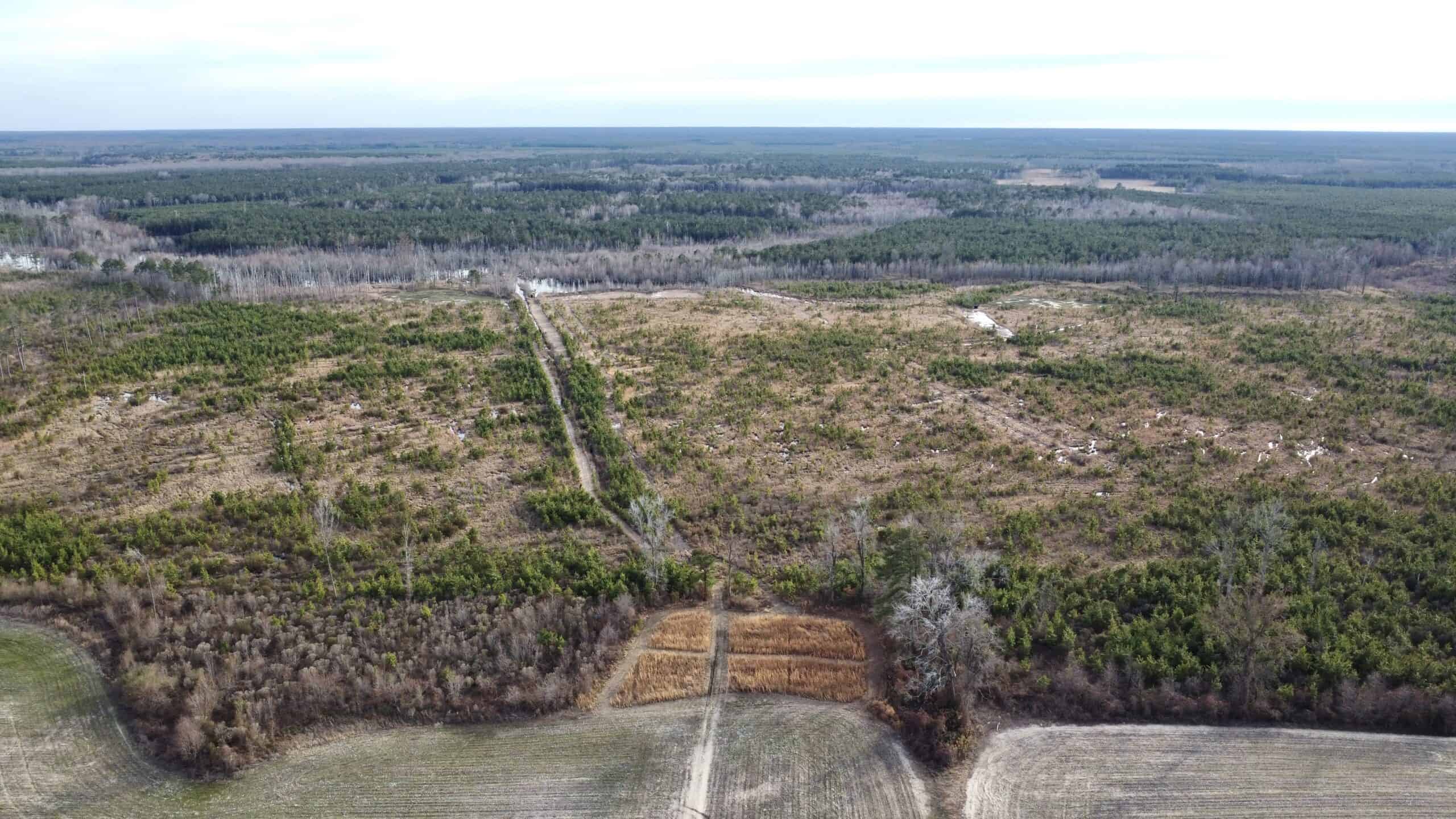 Turnkey Hunting + Investment Property w/ Beaver Swamp