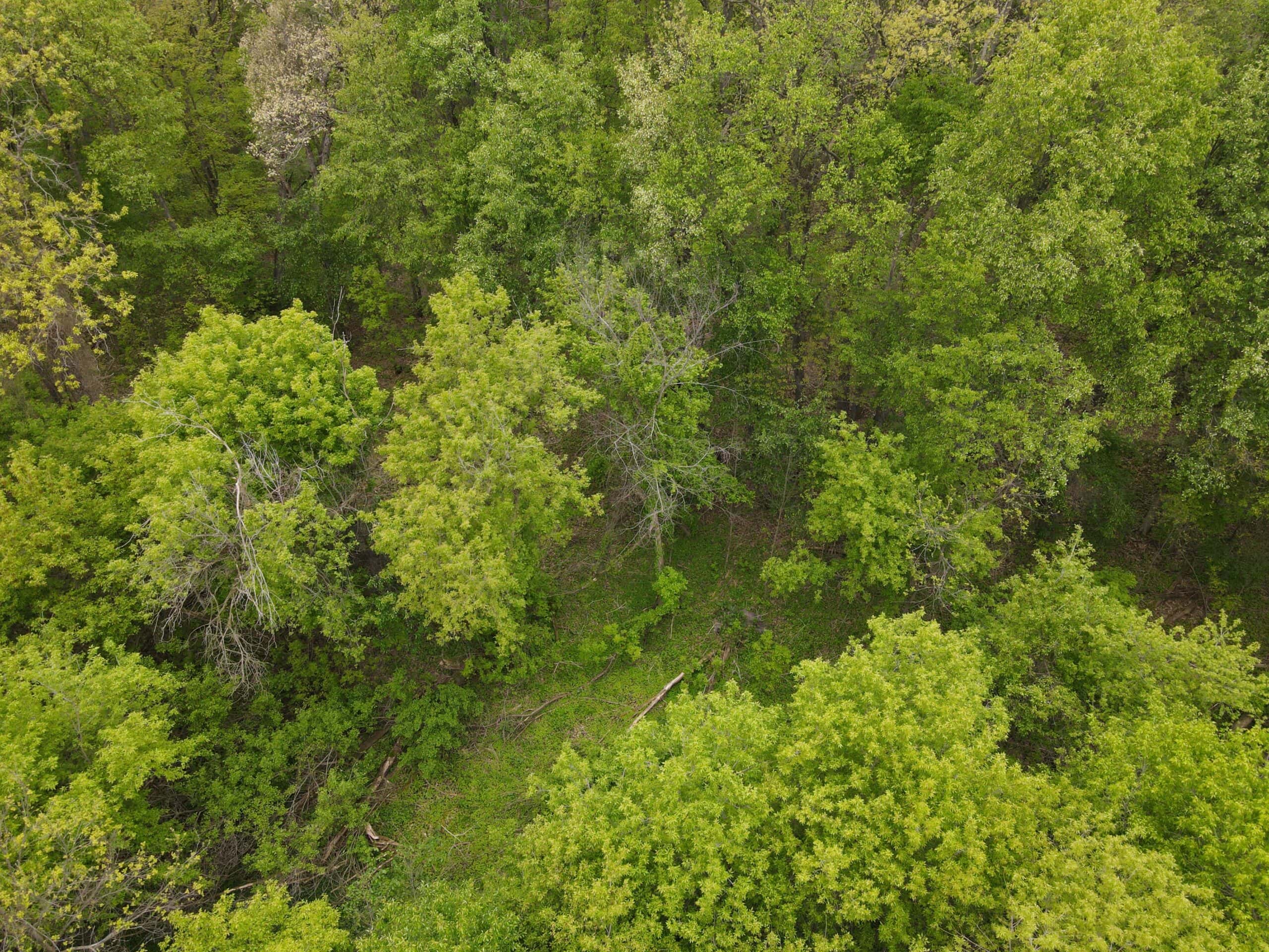 Land for sale in Clinton County Michigan