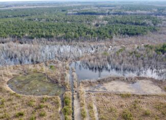 Turnkey Hunting + Investment Property w/ Beaver Swamp