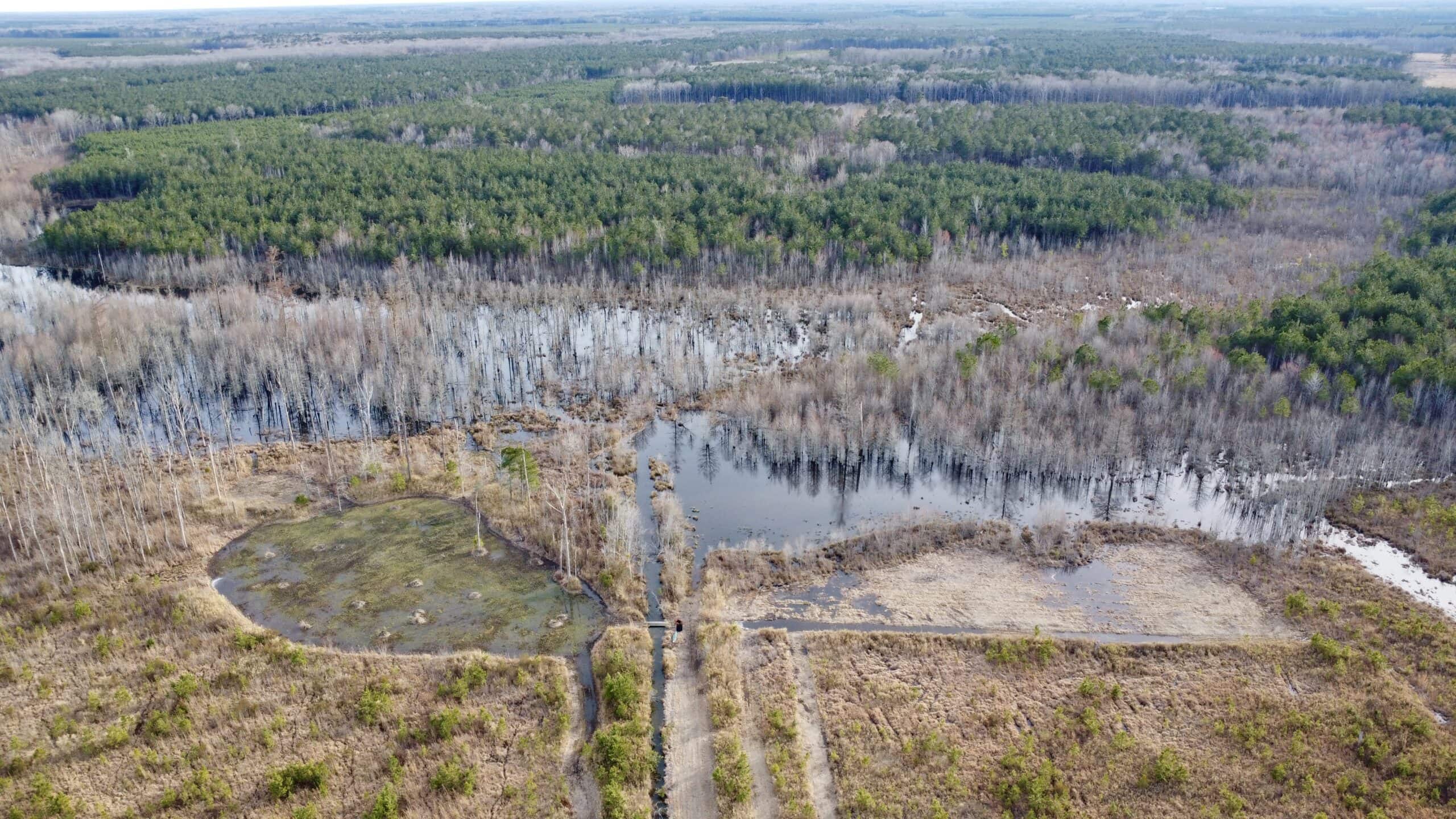 Turnkey Hunting + Investment Property w/ Beaver Swamp
