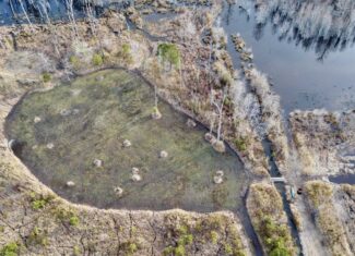 Turnkey Hunting + Investment Property w/ Beaver Swamp