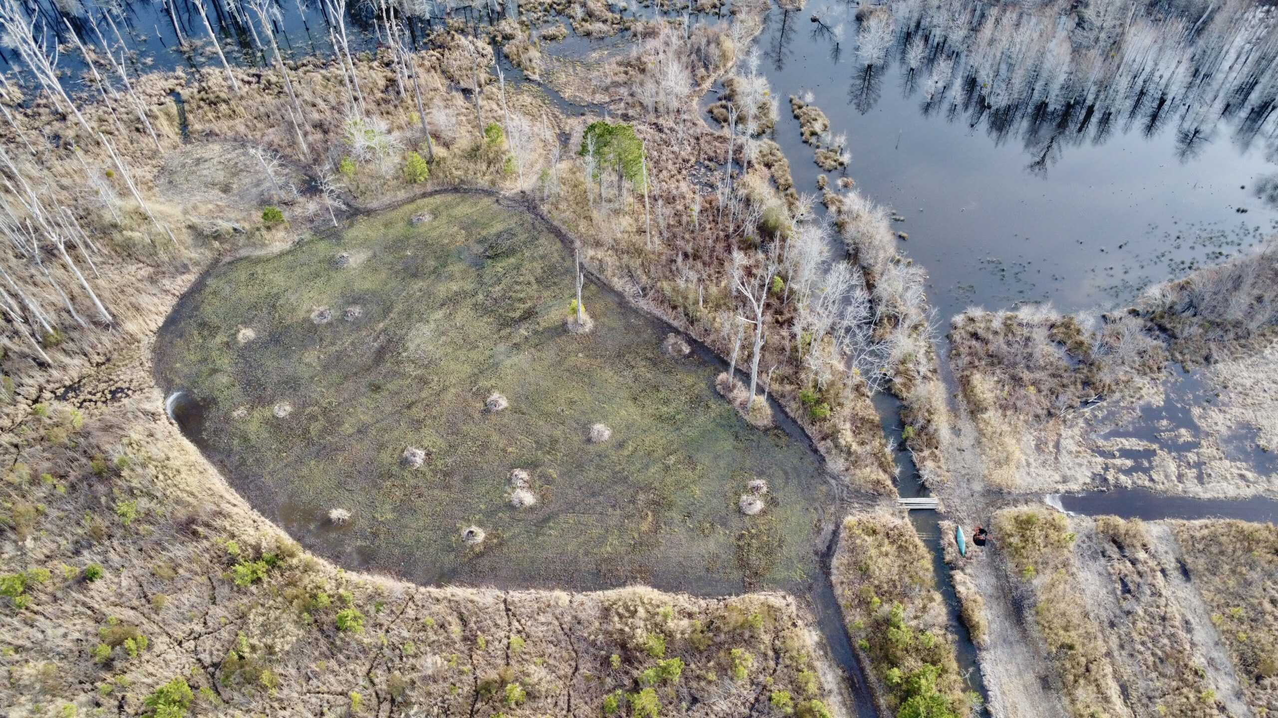 Turnkey Hunting + Investment Property w/ Beaver Swamp