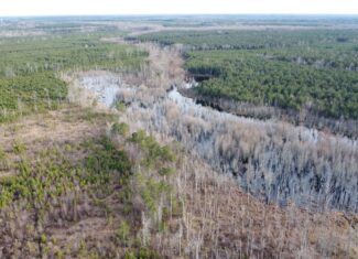 Turnkey Hunting + Investment Property w/ Beaver Swamp