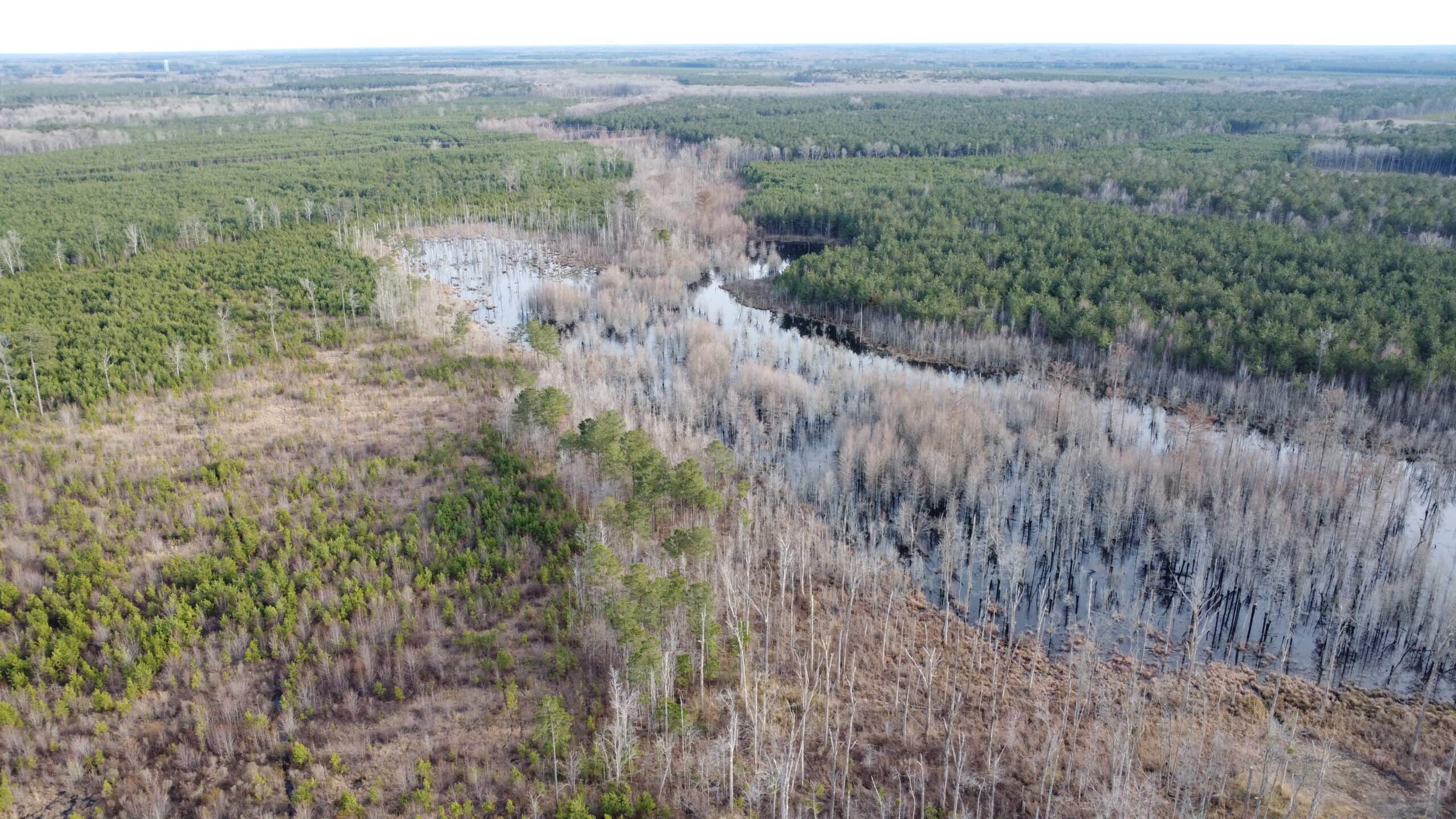 Turnkey Hunting + Investment Property w/ Beaver Swamp