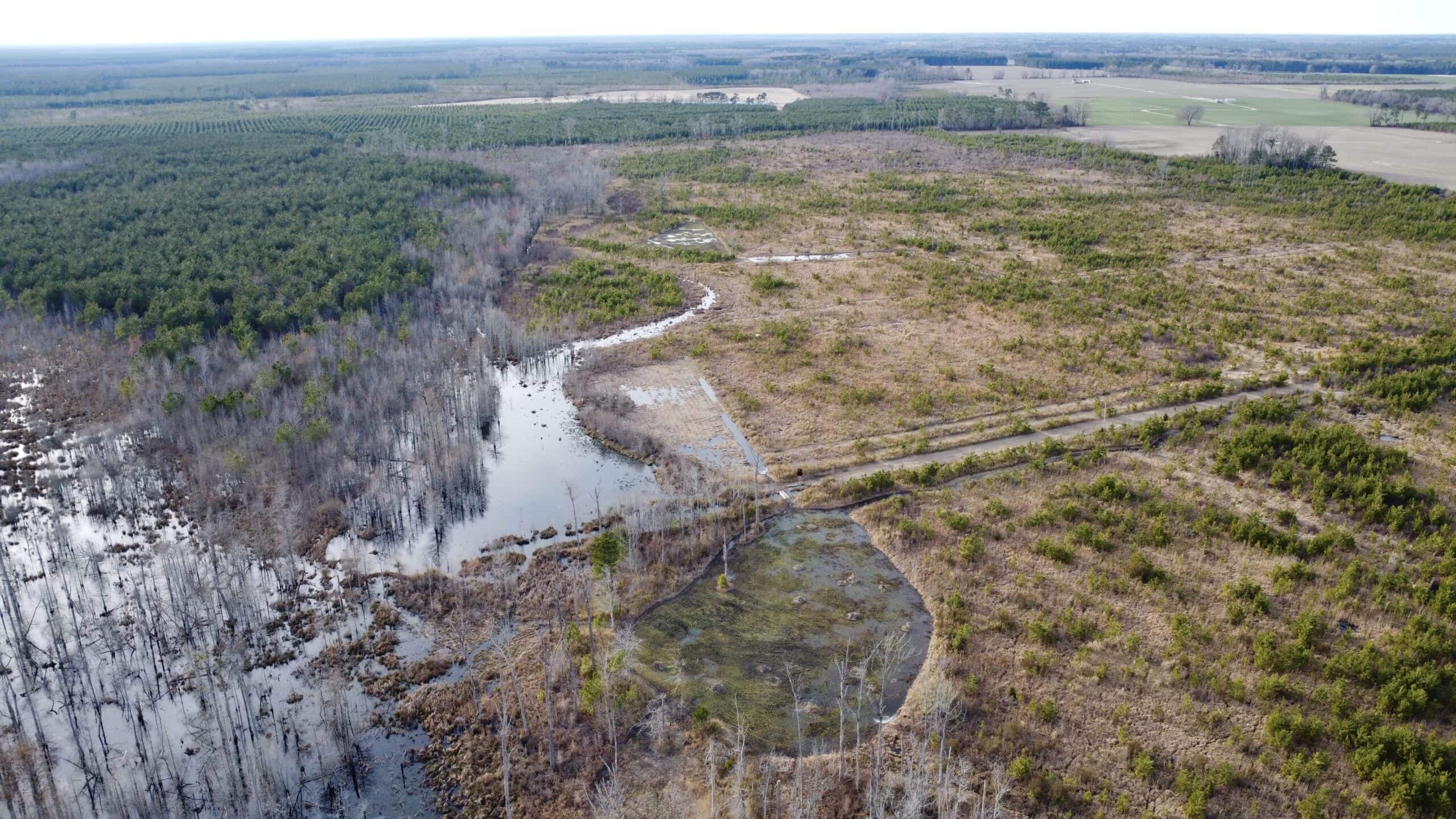 Turnkey Hunting + Investment Property w/ Beaver Swamp