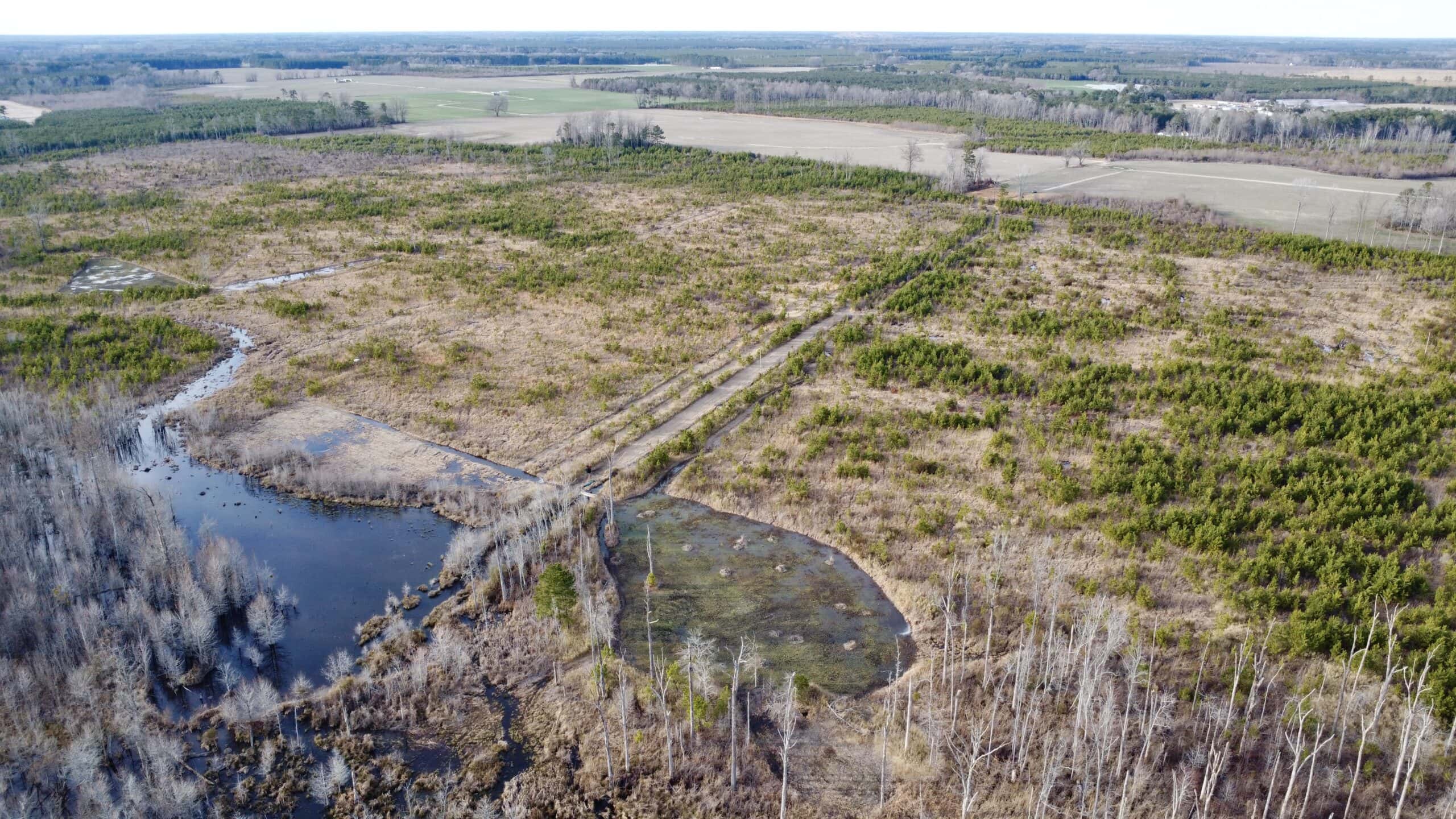 Turnkey Hunting + Investment Property w/ Beaver Swamp