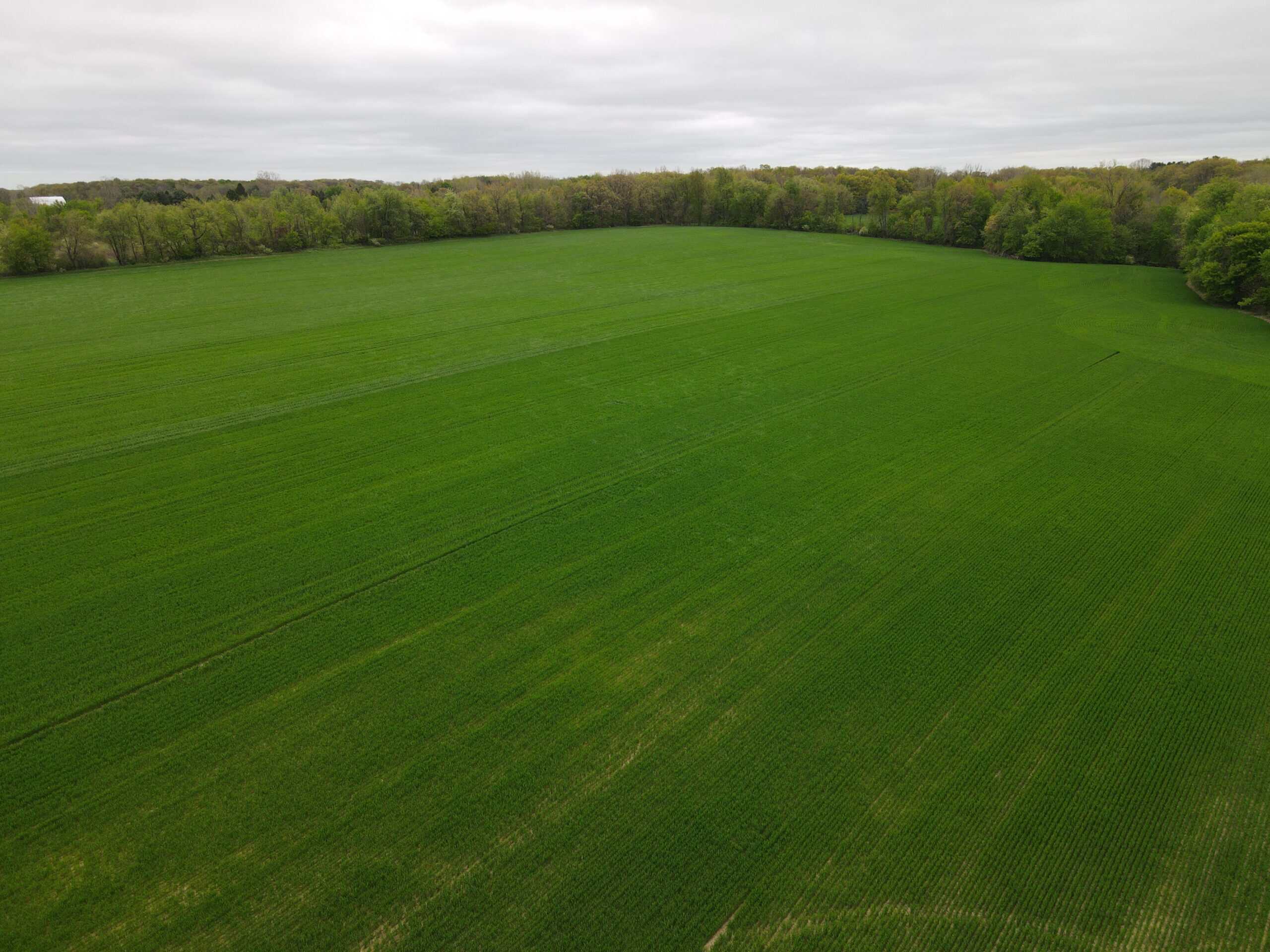 Land for sale in Clinton County Michigan