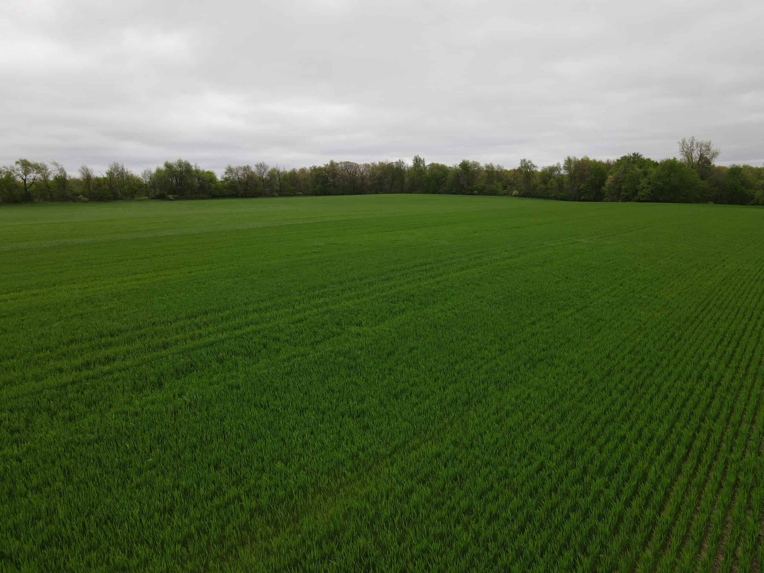 Land for sale in Clinton County Michigan