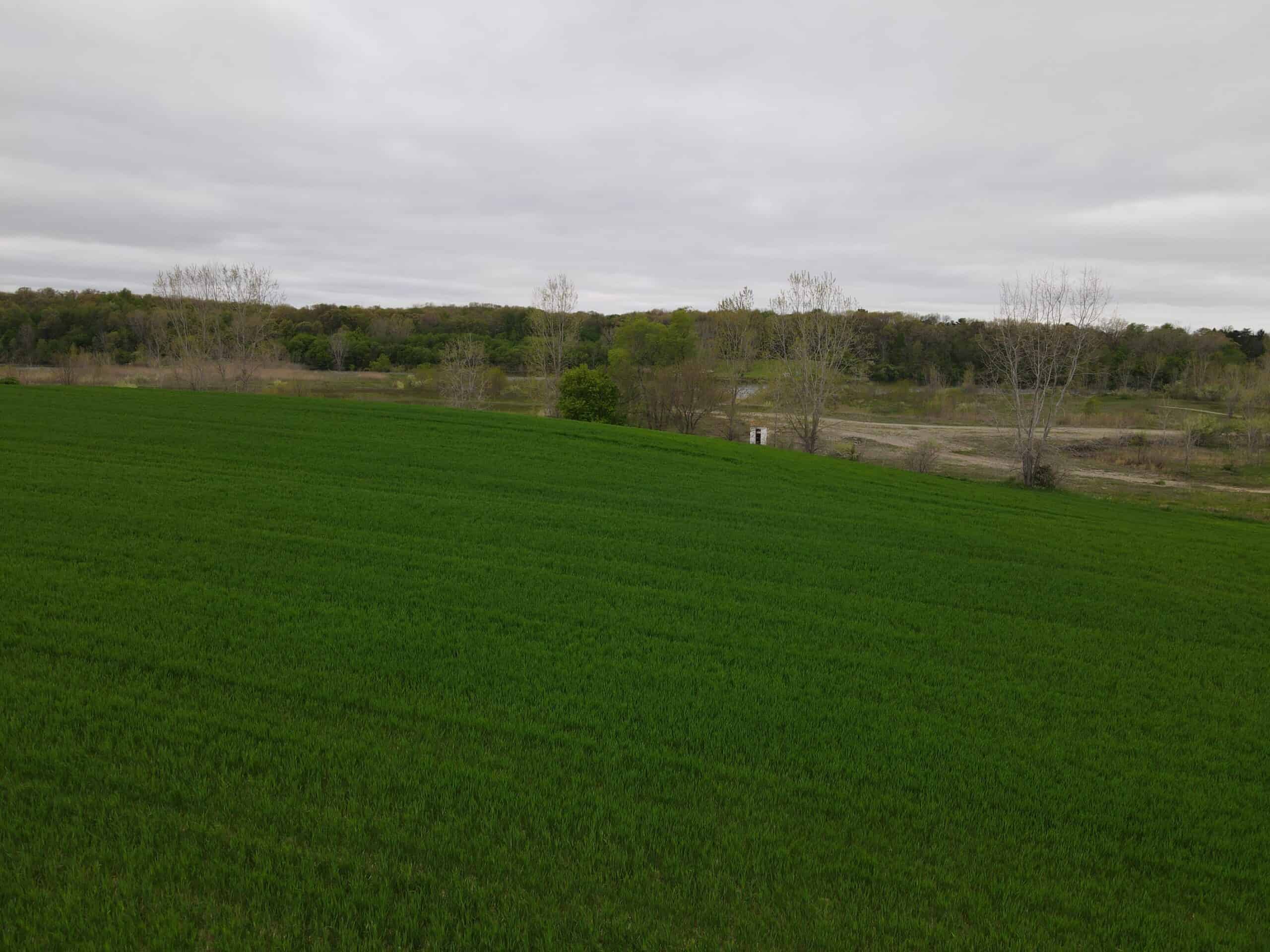 Land for sale in Clinton County Michigan