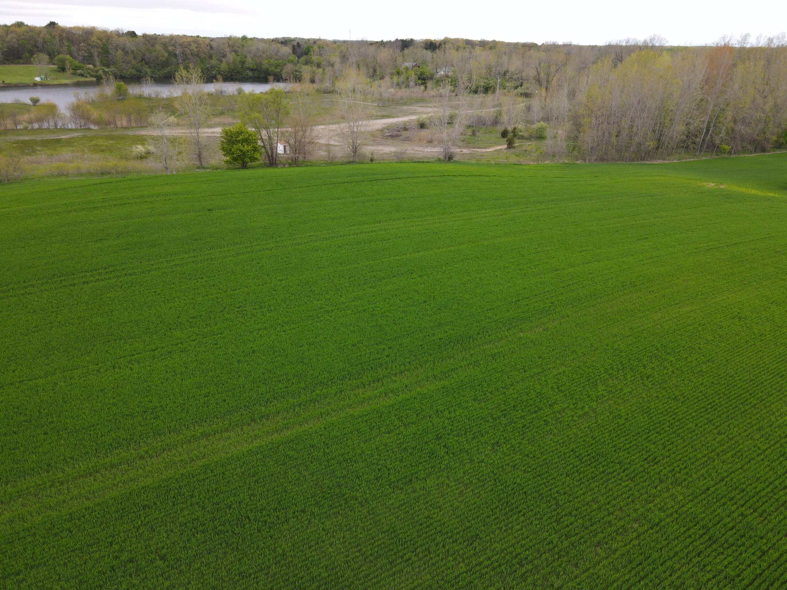 Land for sale in Clinton County Michigan