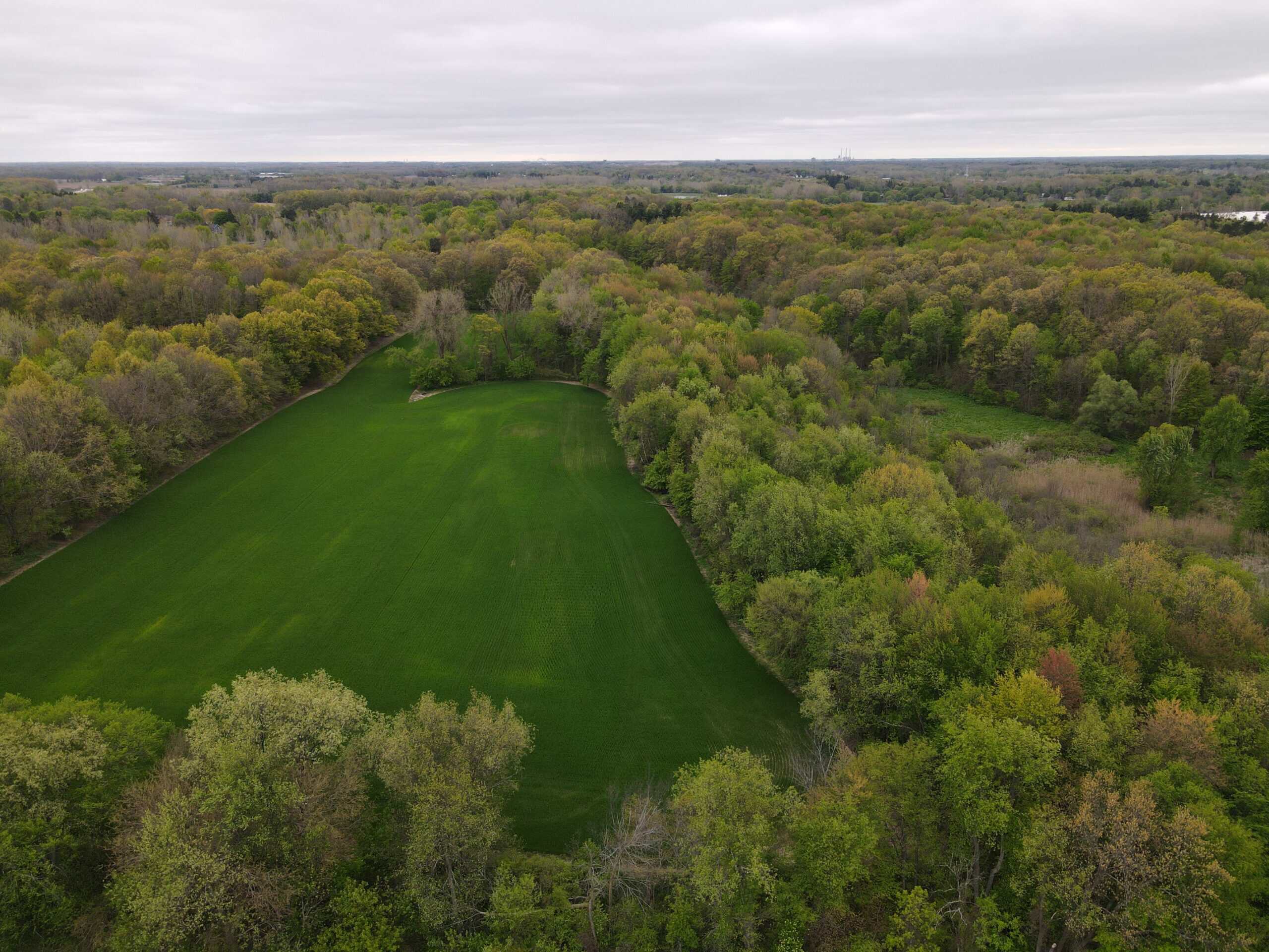 Land for sale in Clinton County Michigan