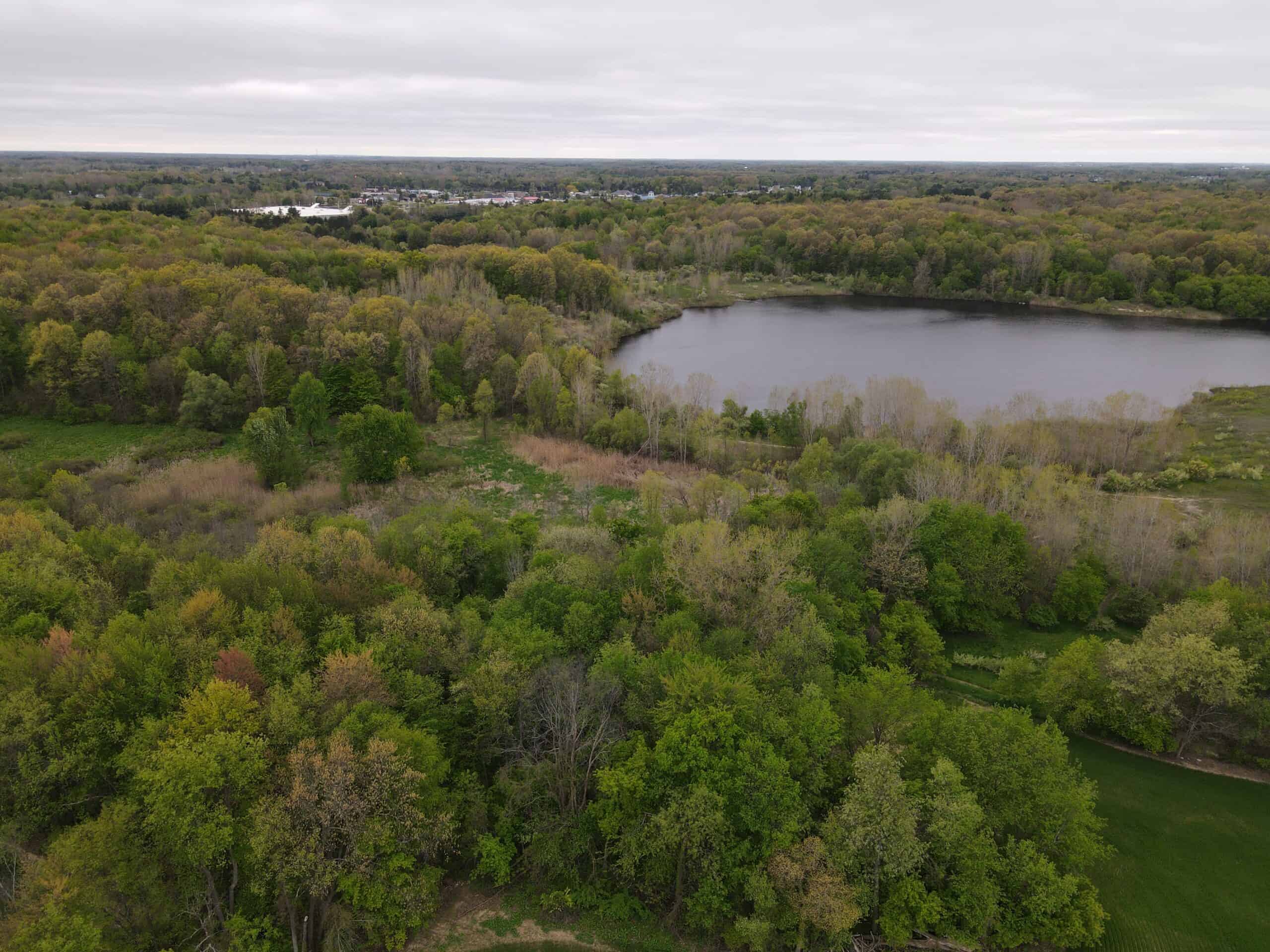 Land for sale in Clinton County Michigan