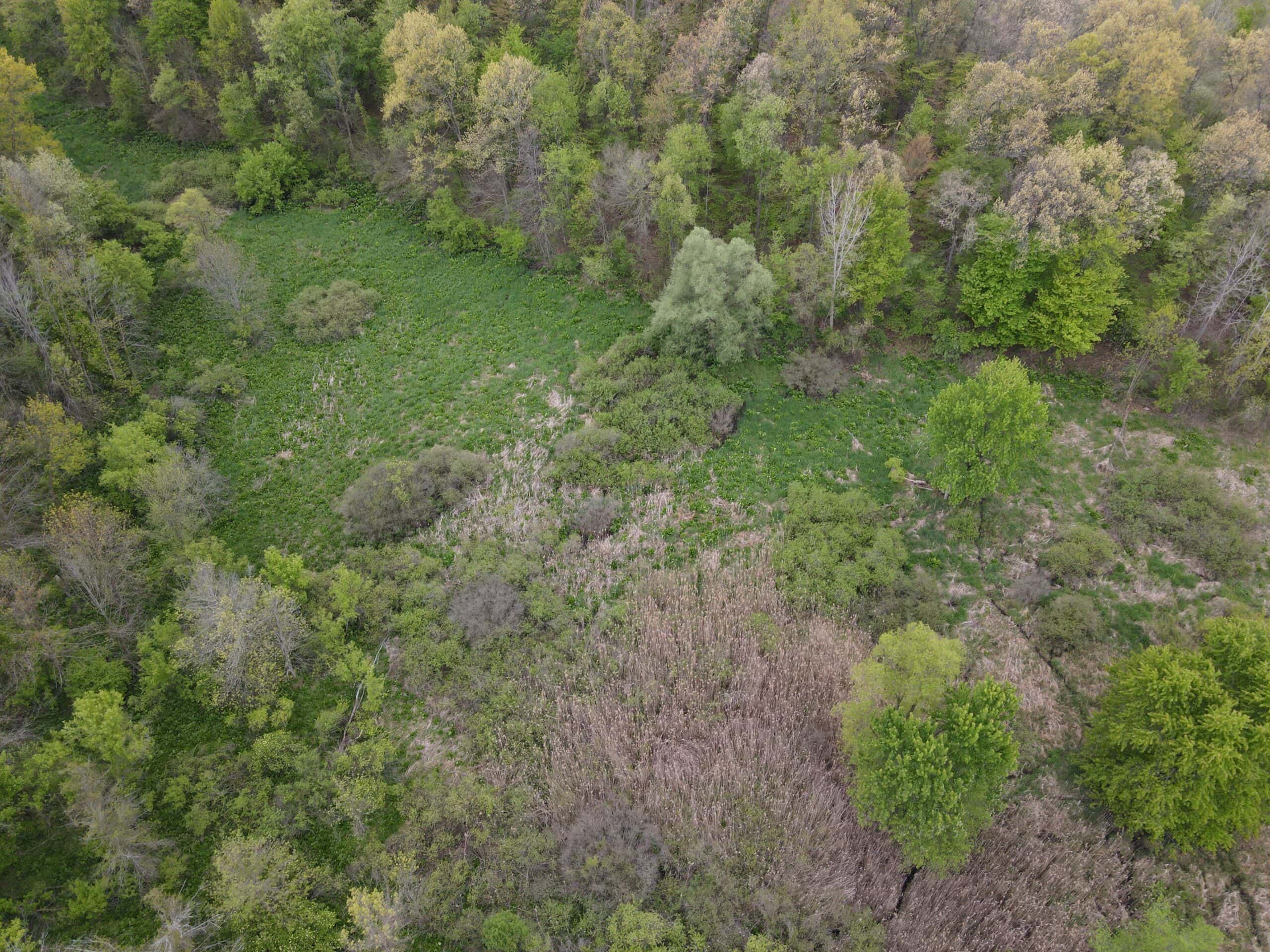 Land for sale in Clinton County Michigan