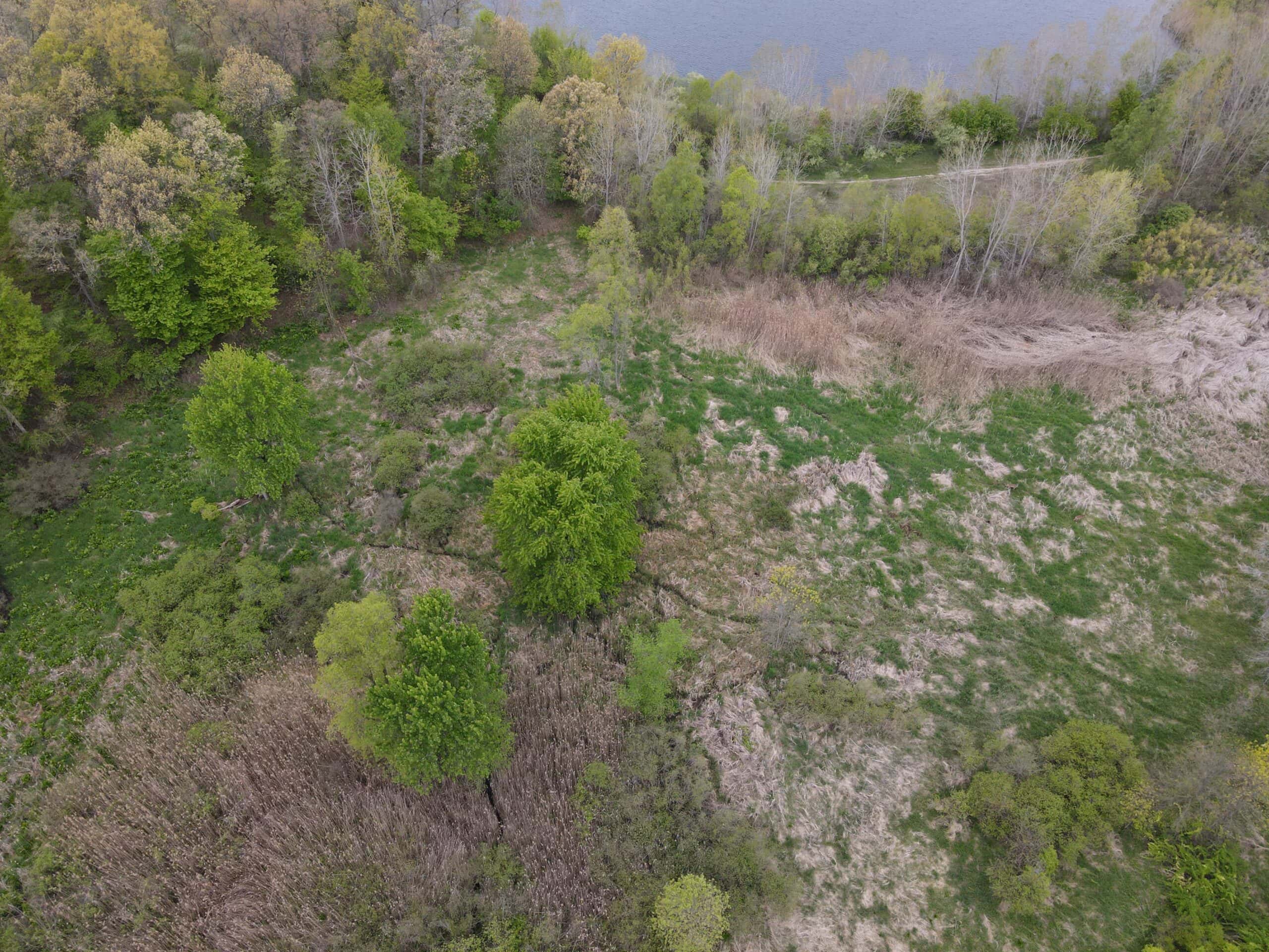 Land for sale in Clinton County Michigan