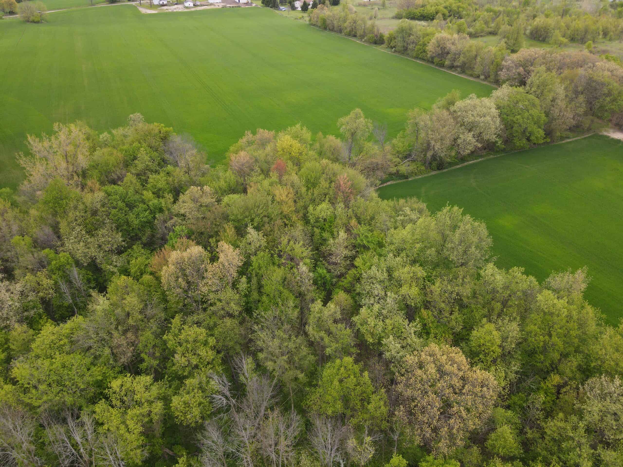 Land for sale in Clinton County Michigan