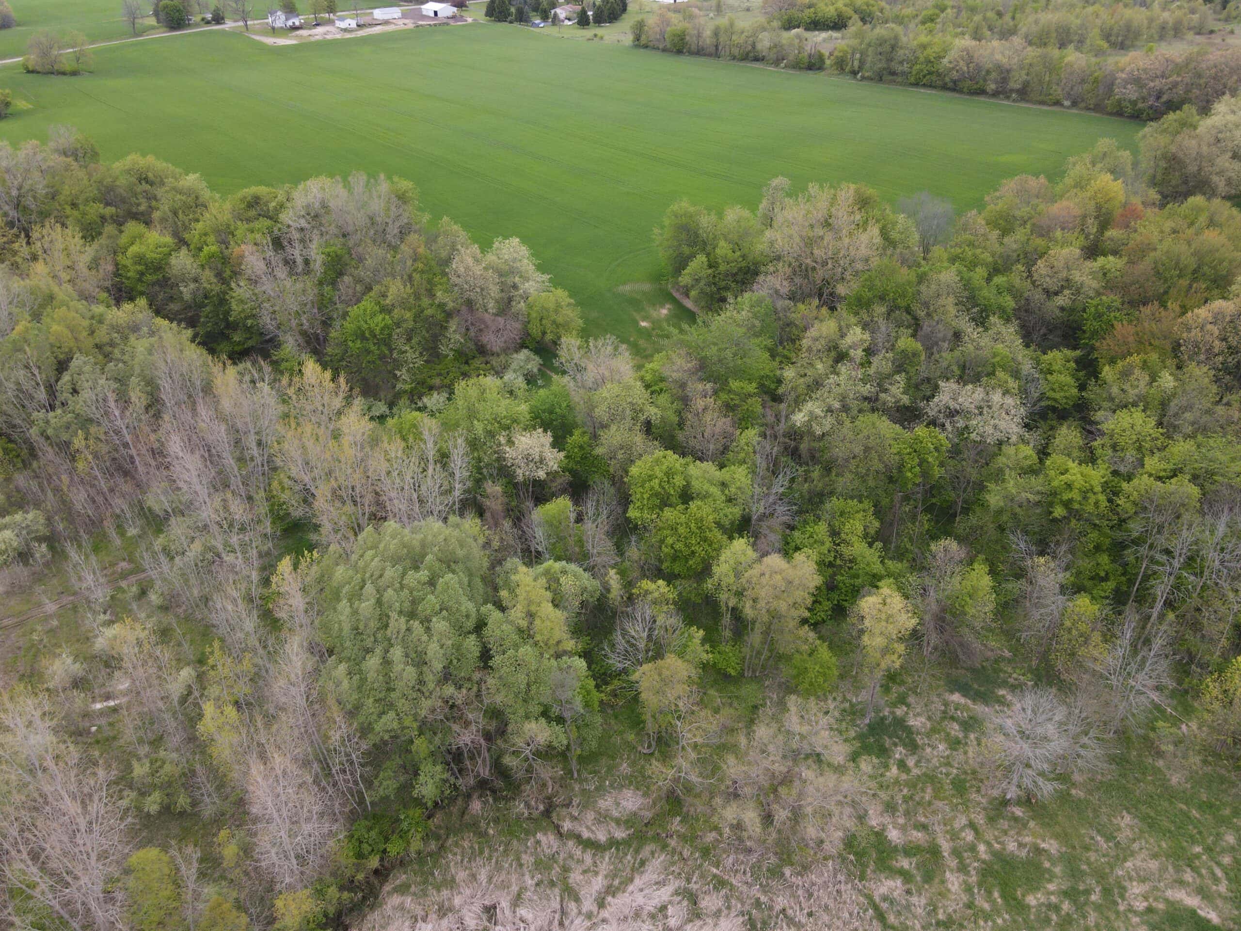 Land for sale in Clinton County Michigan