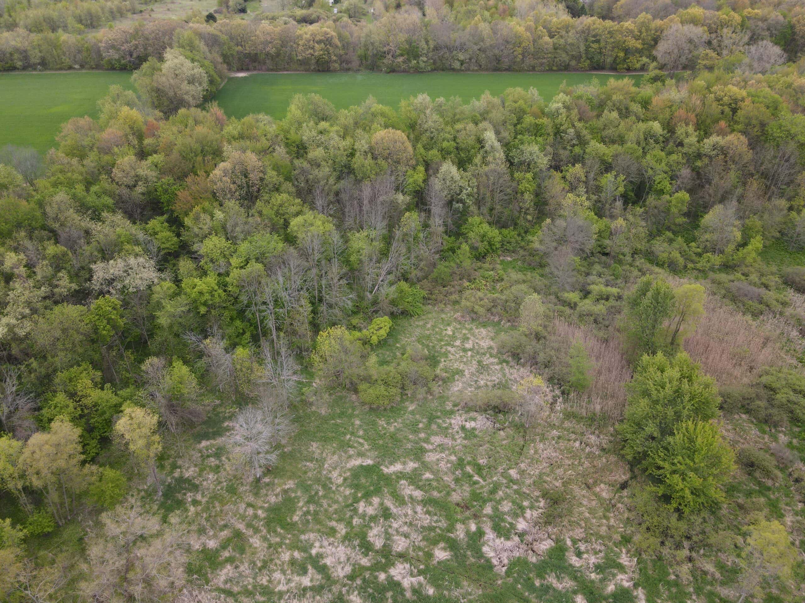 Land for sale in Clinton County Michigan