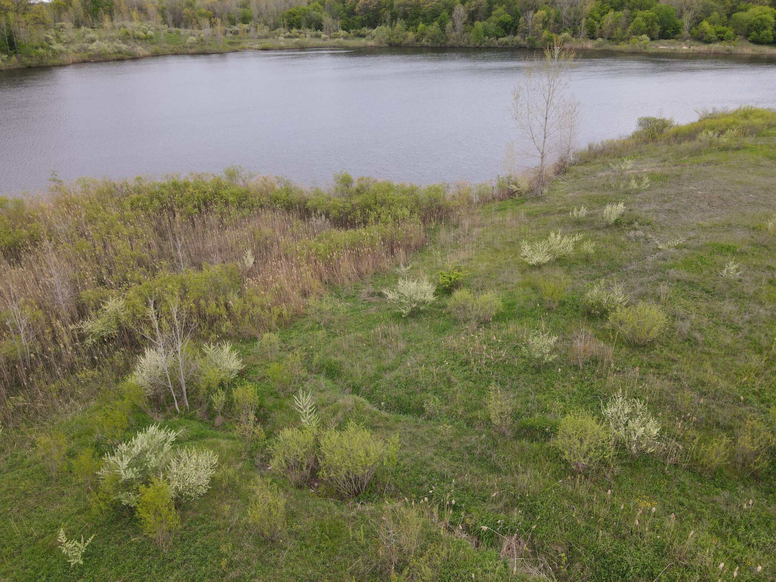 Land for sale in Clinton County Michigan