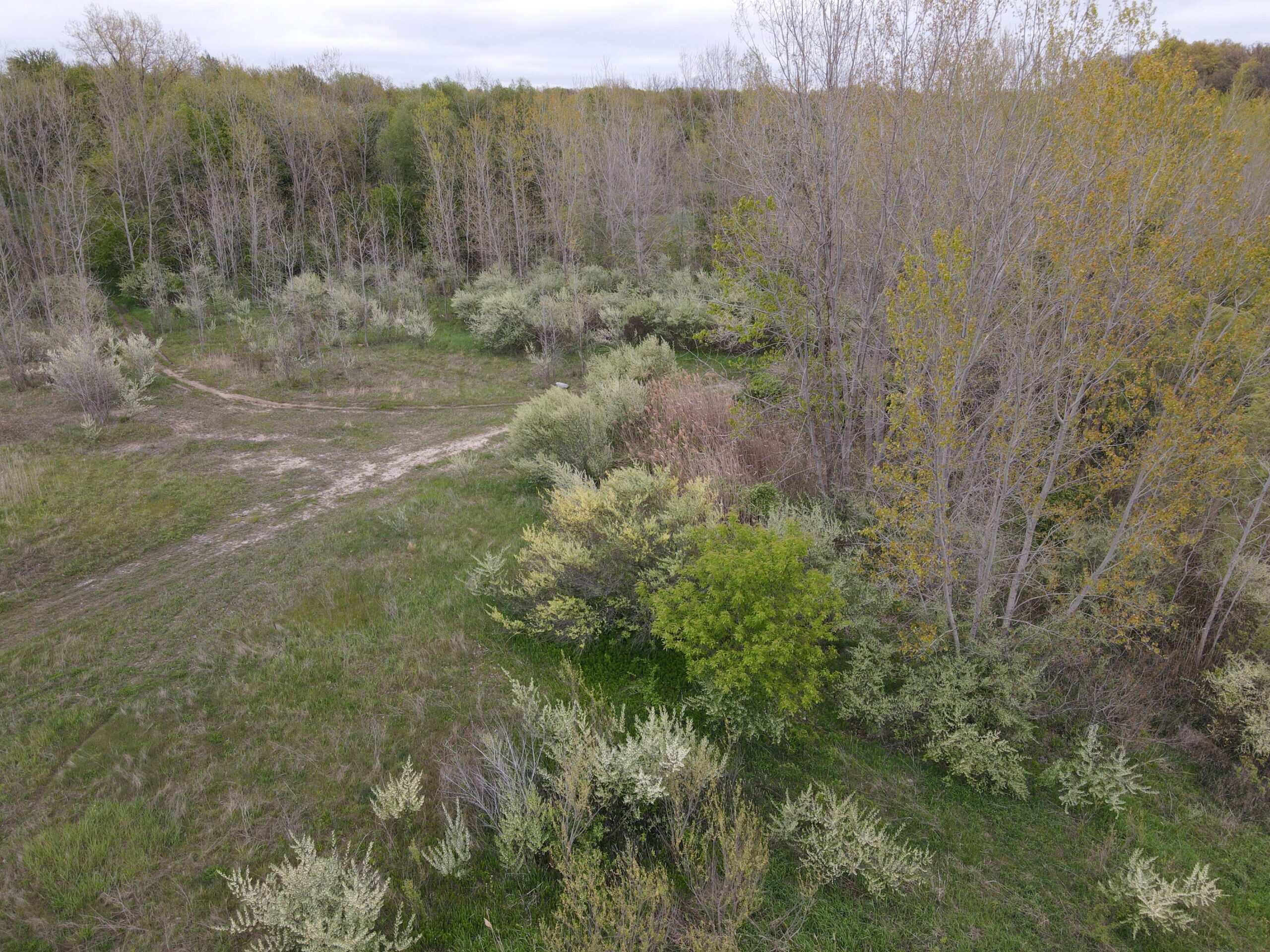 Land for sale in Clinton County Michigan