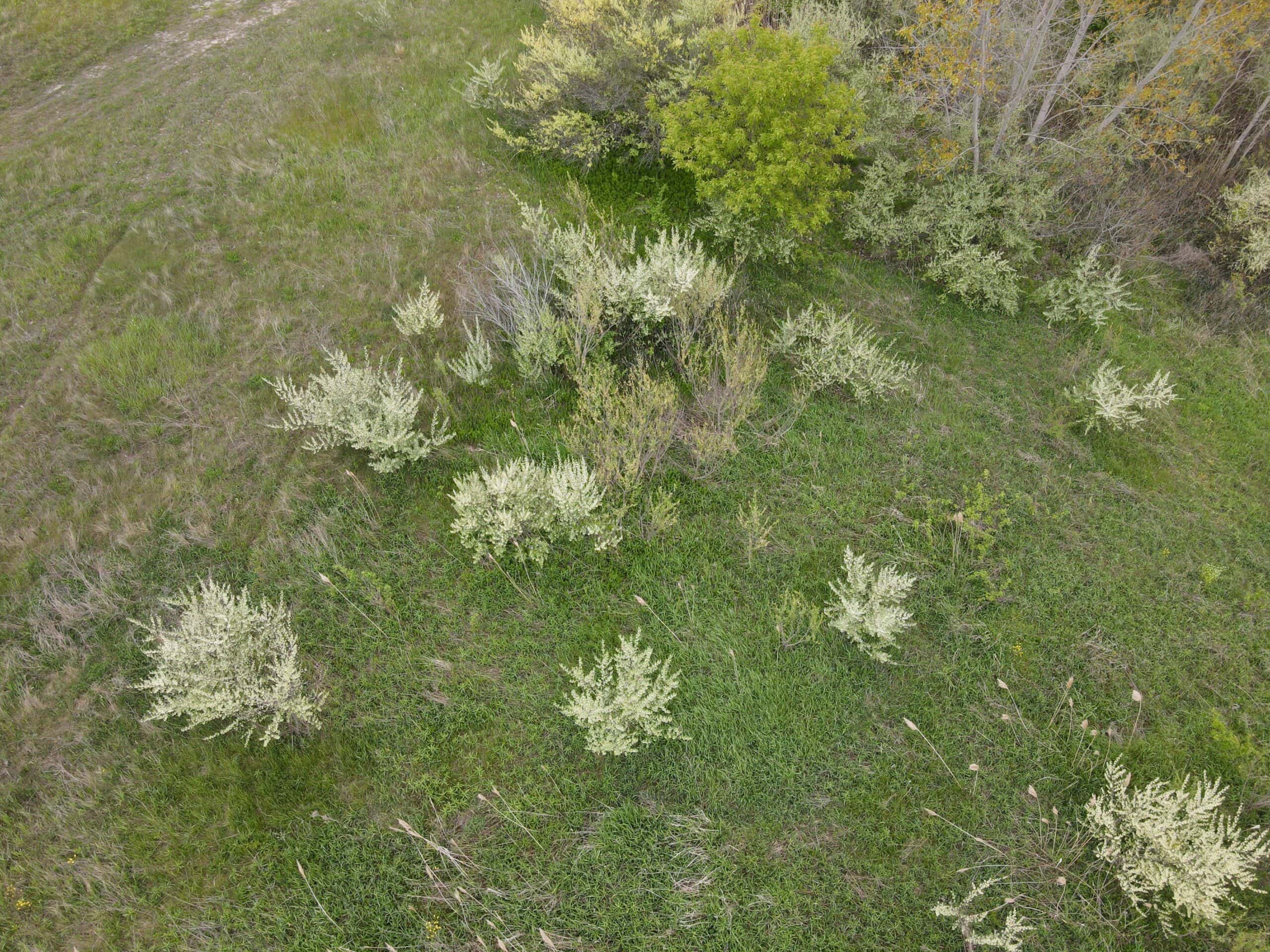 Land for sale in Clinton County Michigan