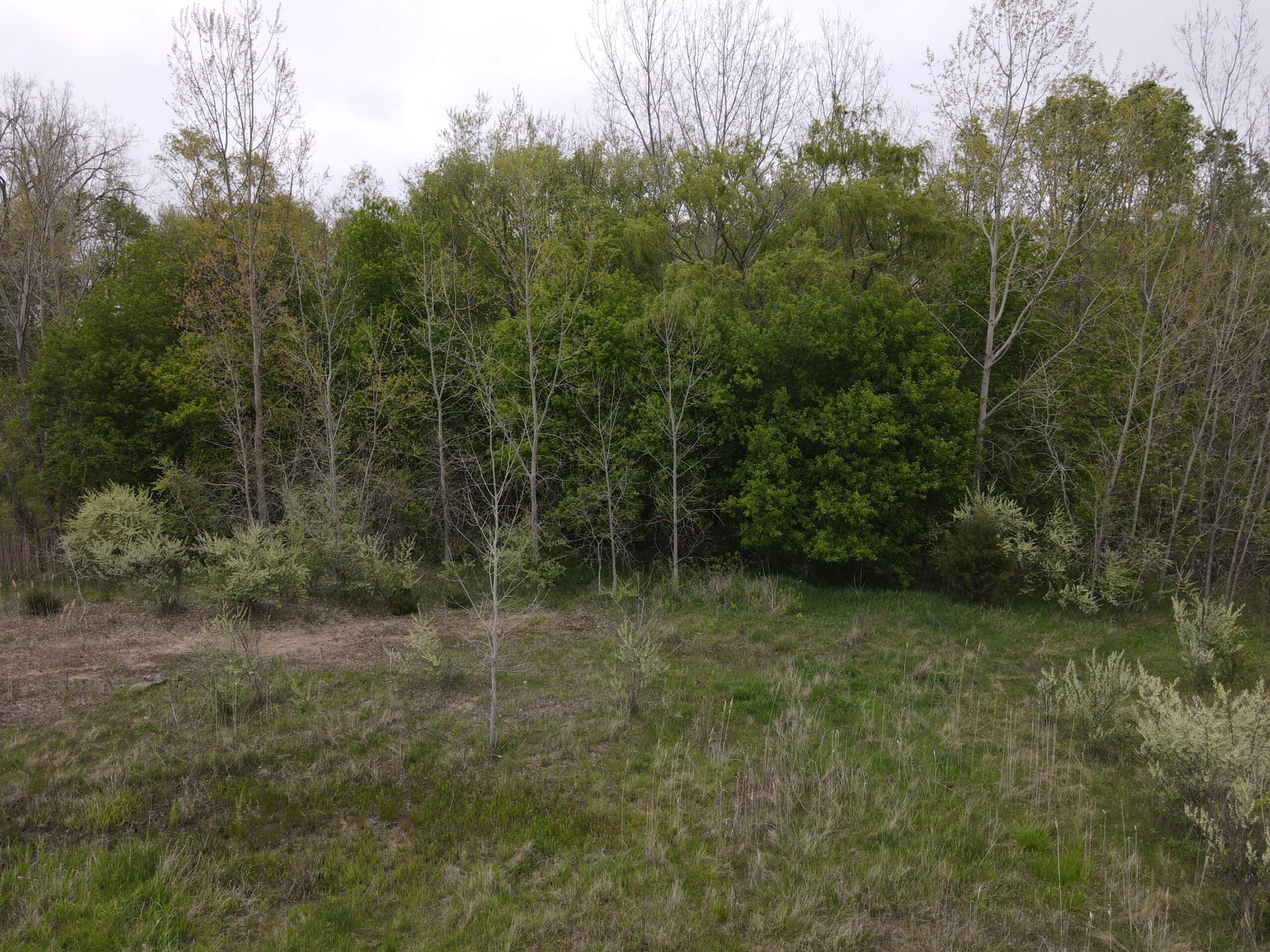 Land for sale in Clinton County Michigan