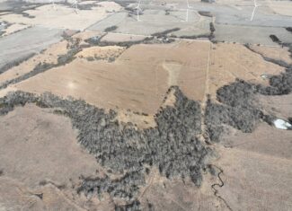 Excellent Building Site & Hunting Property in Coffey County Kansas
